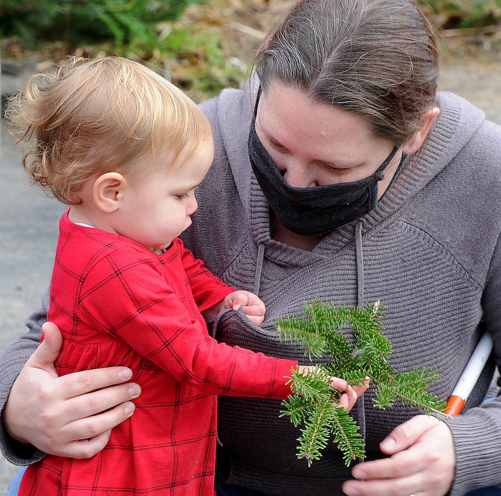 Christmas tree farm