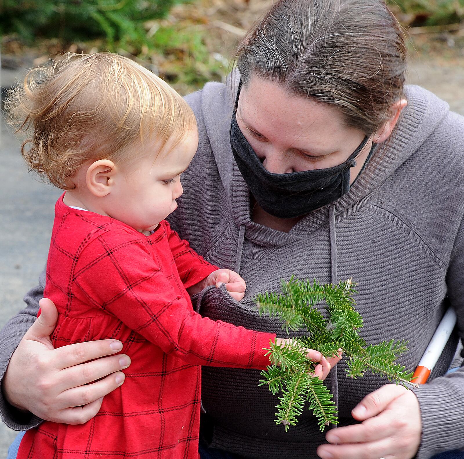 Olyvia Davis, 16 months, shows her mother Kelsey, a branch off of a Christmas tree while visiting Red Barn Tree Farm in Miamisburg on Friday, Nov. 27, 2020. MARSHALL GORBY\STAFF