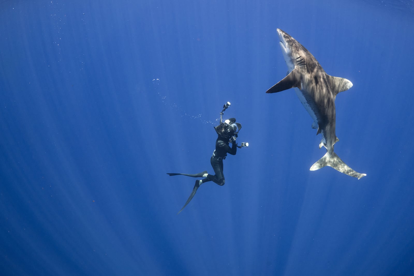 National Geographic Live presents award-winning filmmaker and photographer Andy Mann in “From Summit to Sea” at Victoria Theatre in Dayton on Sunday and Monday, March 13 and 14.