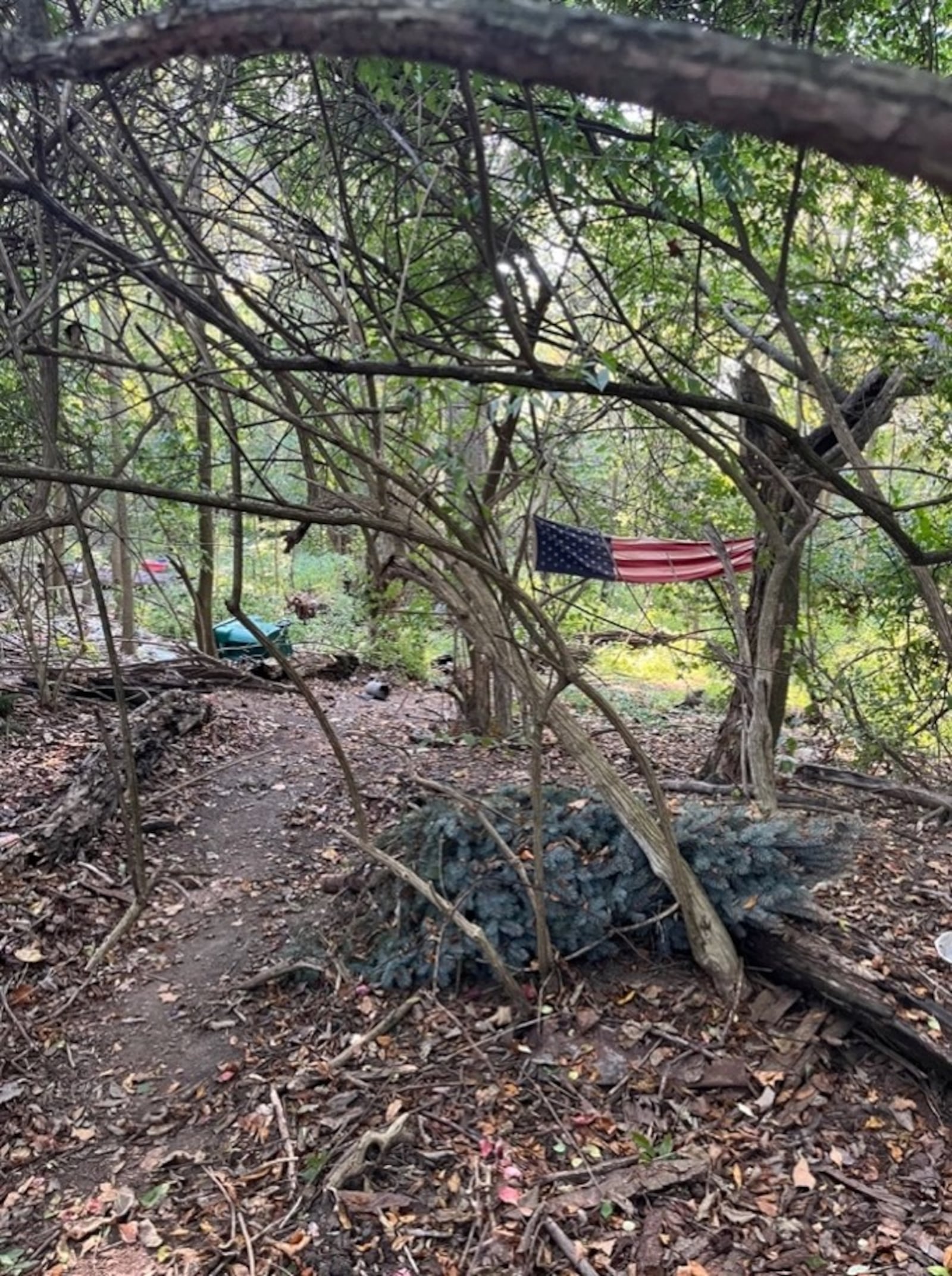 Along I-75 corridor. View from his “living room”, trails he made connect to “kitchen” (green cooler in background), then “bedroom”, lastly “bathroom”. (CONTRIBUTED: Jay Yoder)