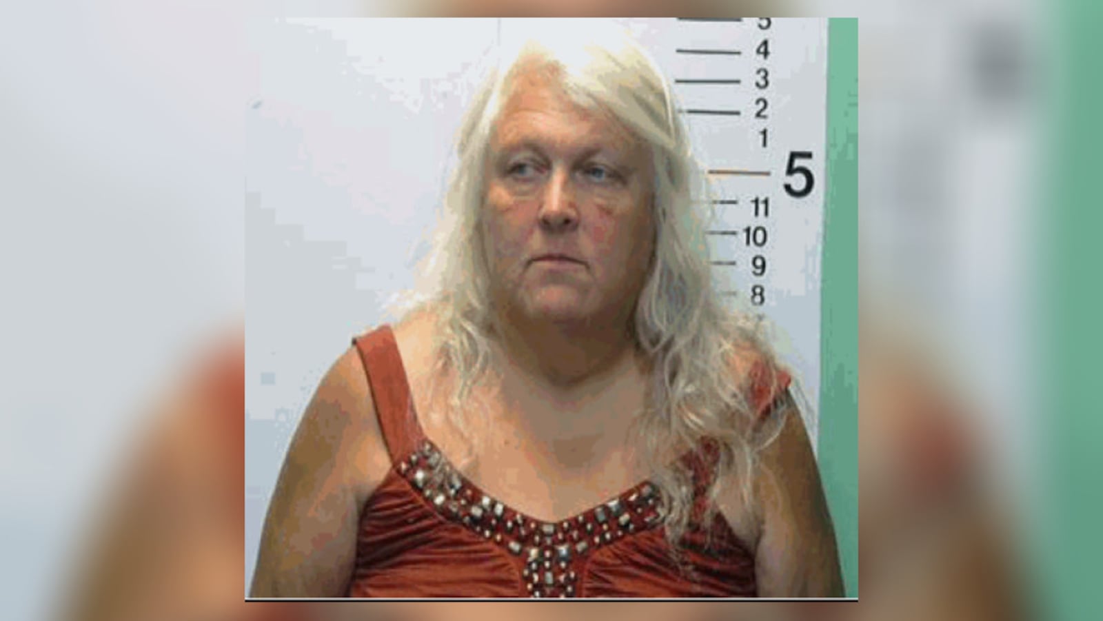 Ronda Murphy, 60, was arrested on charges related to the seizure of 90 dogs at her residence in Madison Twp. CONTRIBUTED