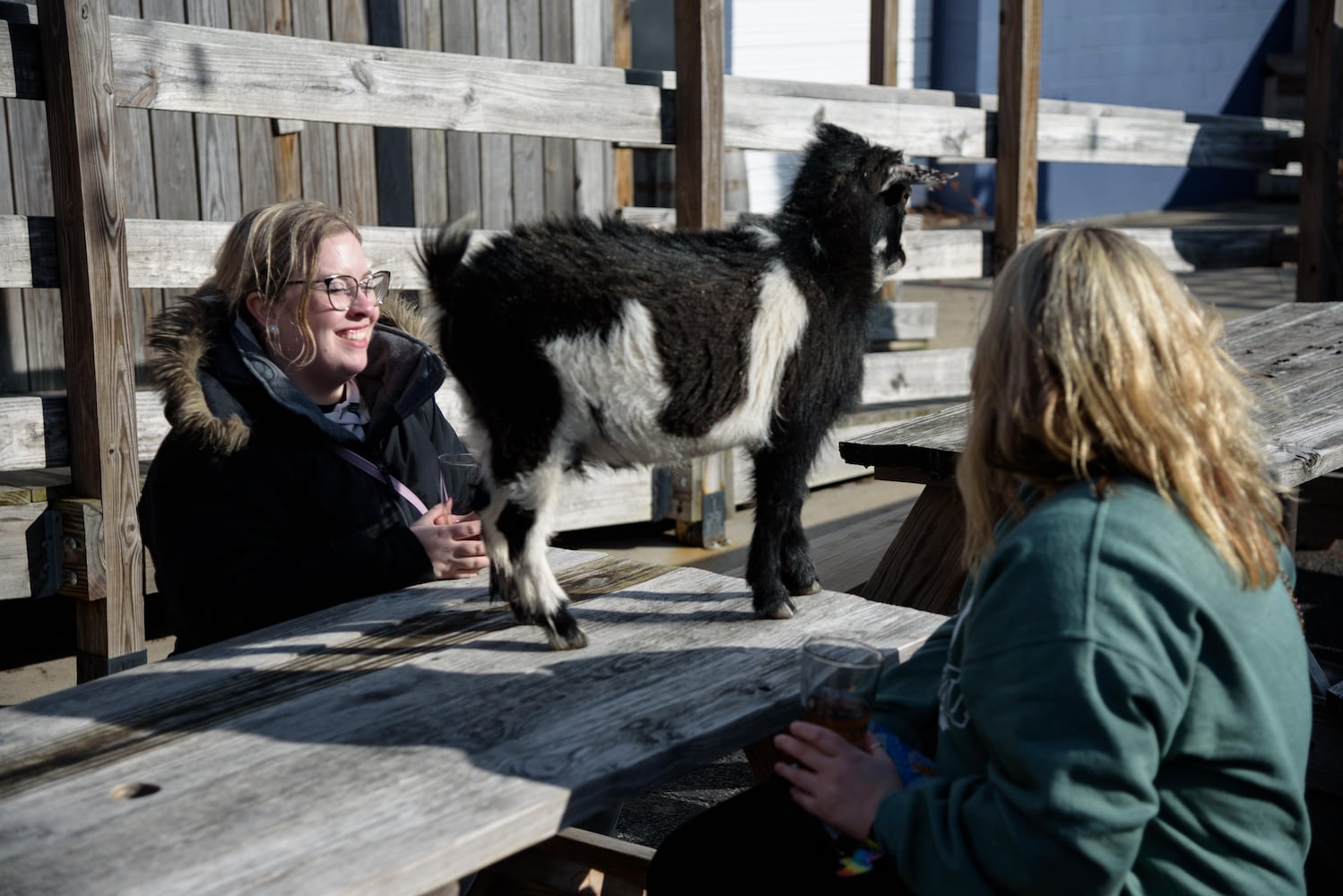 PHOTOS: Did we spot you frolicking with the cutest kids at Dayton Beer Company’s GoatFest?