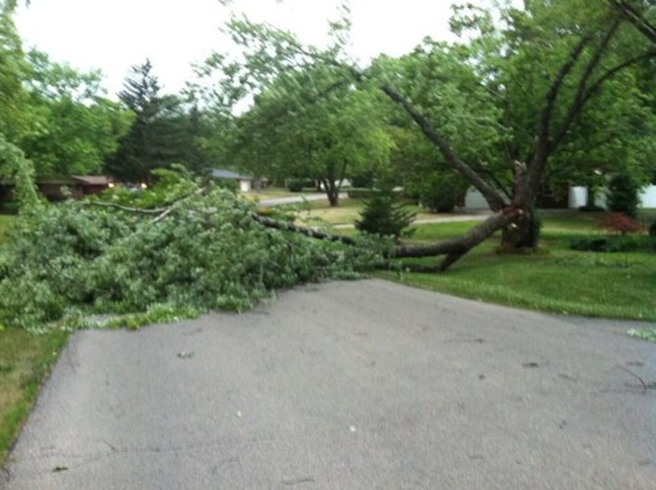 Storm damage