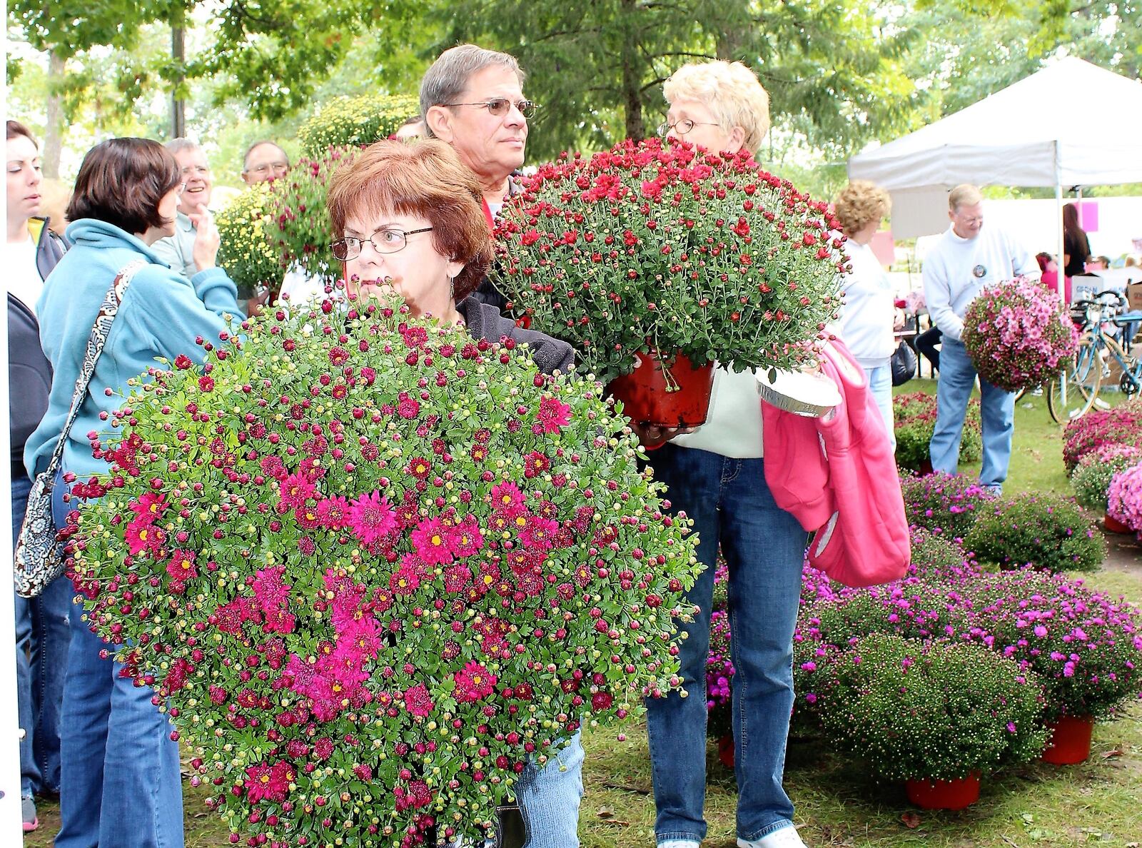 A popular item at the annual Tipp City Mum Festival is the mums. The festival returns this year after being canceled in 2020 due to COVID-19. Contributed