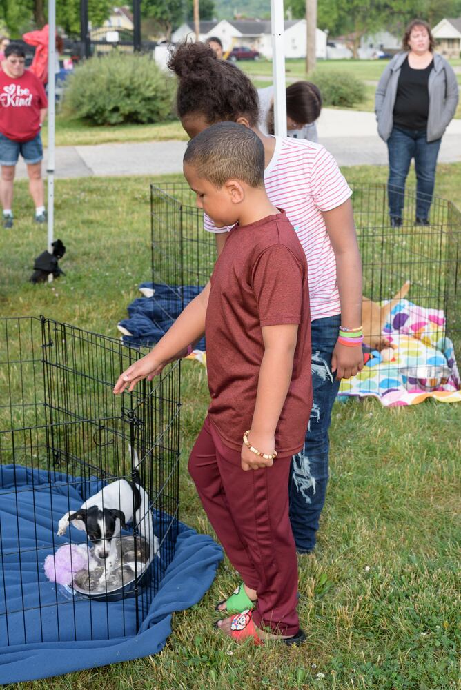 PHOTOS: Did we spot you and your doggie at the 5k-9 Run, Walk & Wag in Miamisburg?