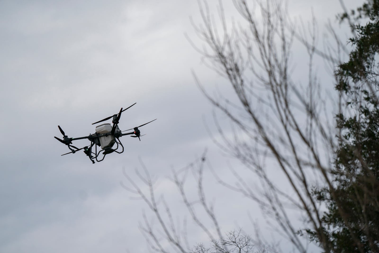 Russell Hedrick's DJI drone puts crop cover on his farm, Tuesday, Dec. 17, 2024, in Hickory, N.C. (AP Photo/Allison Joyce)