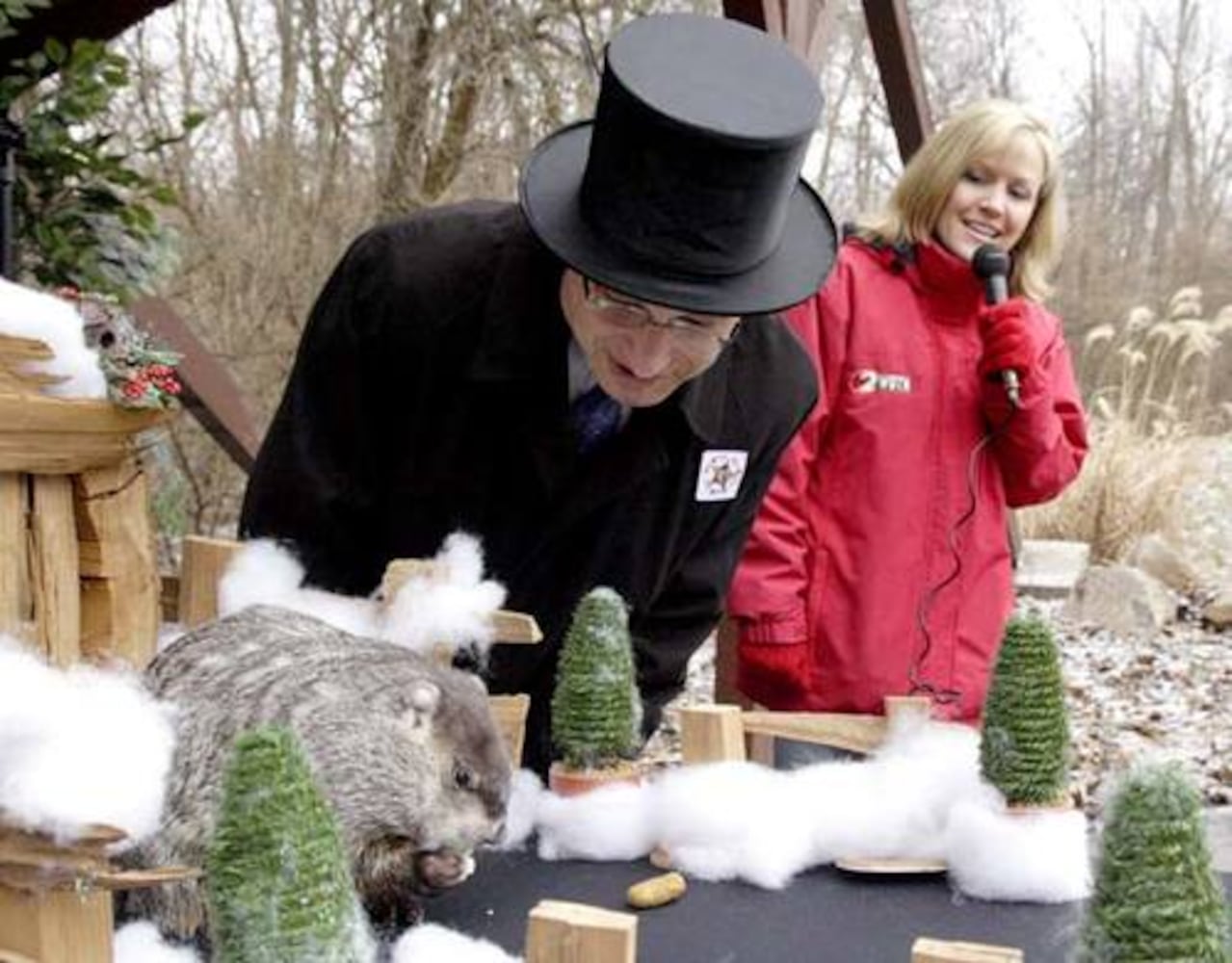 Groundhog predicts spring