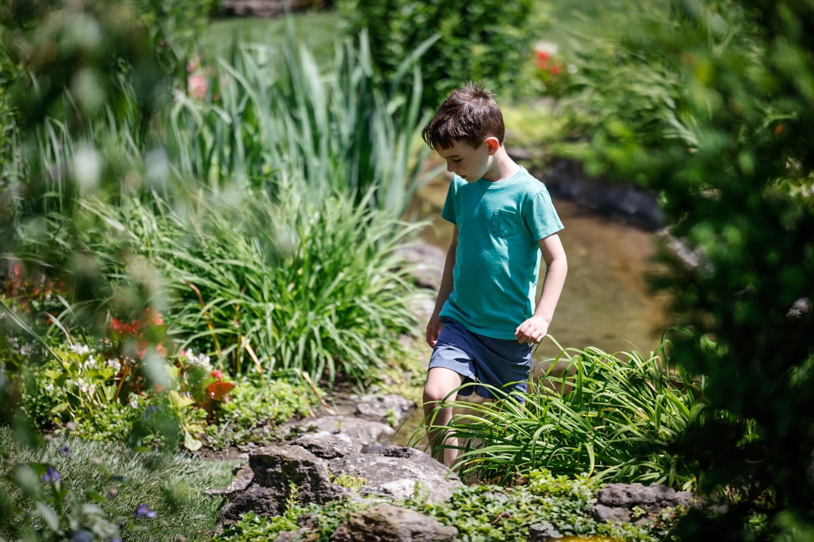 Henry Denka, 6, from Oakwood hikes through Smith Gardens on Walnut Lane in Oakwood. JIM NOELKER/STAFF