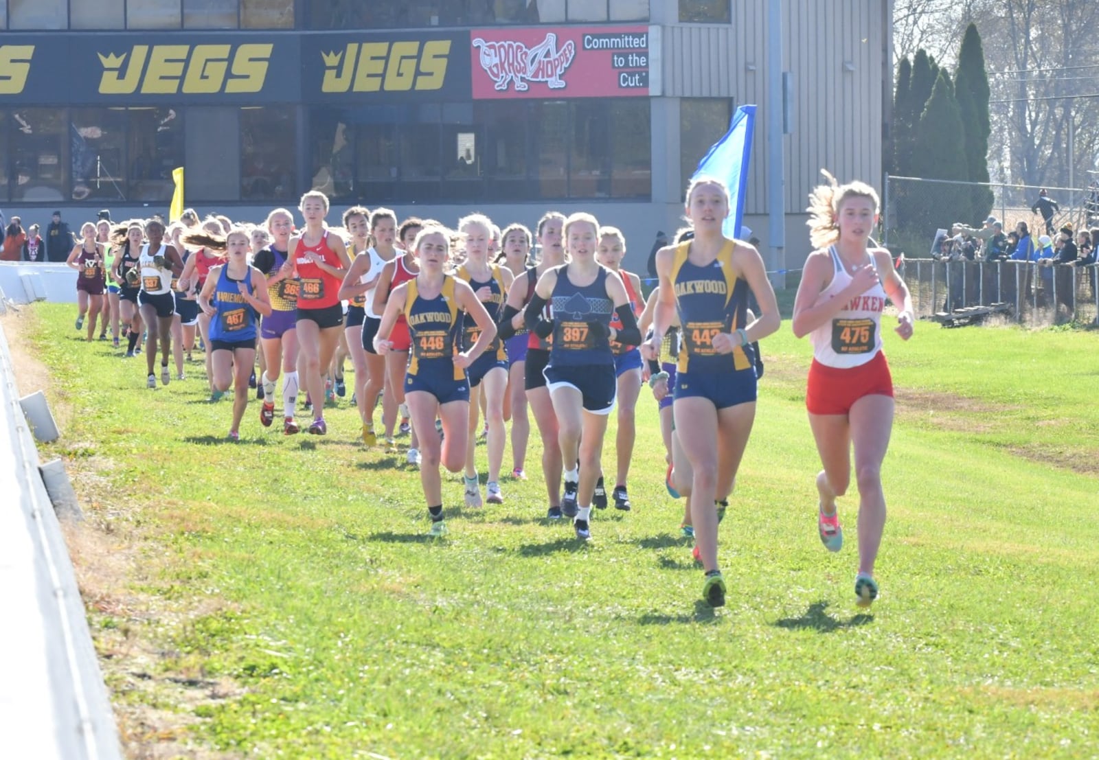 Oakwood’s Grace Hartman (442) leads the field with Hawken’s Ella Gibson (475) during Saturday’s Division II state championship race at National Trail Raceway in Hebron. Greg Billing/CONTRIBUTED