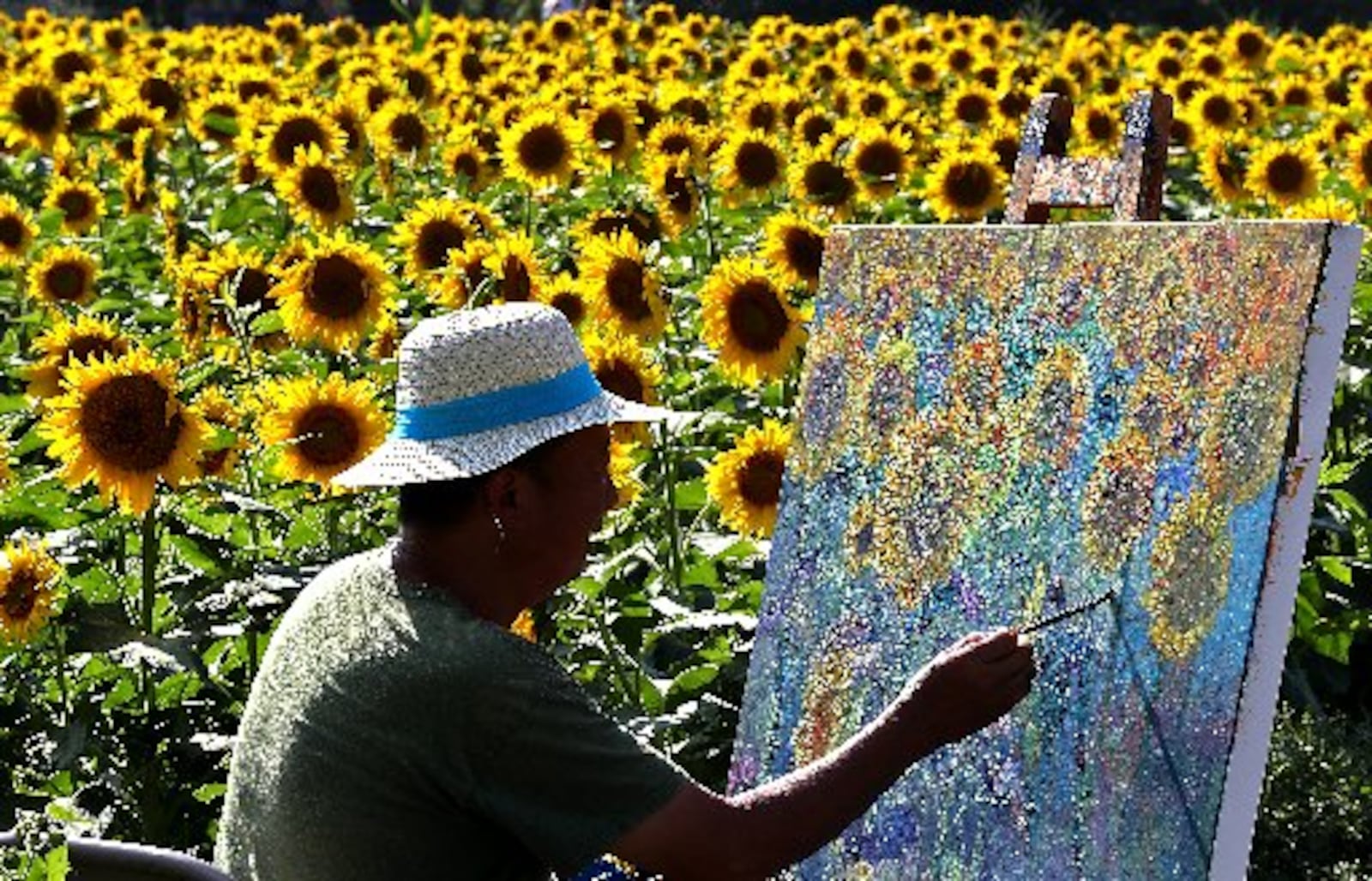 While everyone else was taking pictures of the Tecumseh Land Trust sunflowers in Yellow Springs, Leo Hong Mao, an artist from Columbus, was capturing them with paint on canvas. Bill Lackey/Staff