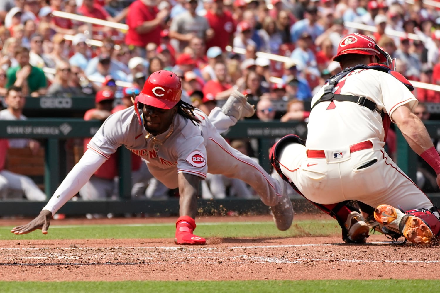 Reds Cardinals Baseball