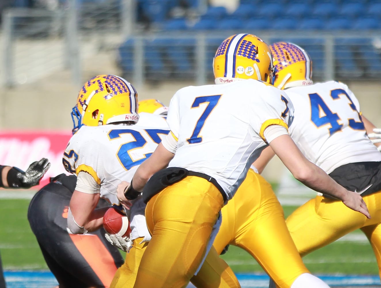 PHOTOS: Marion Local wins state football championship