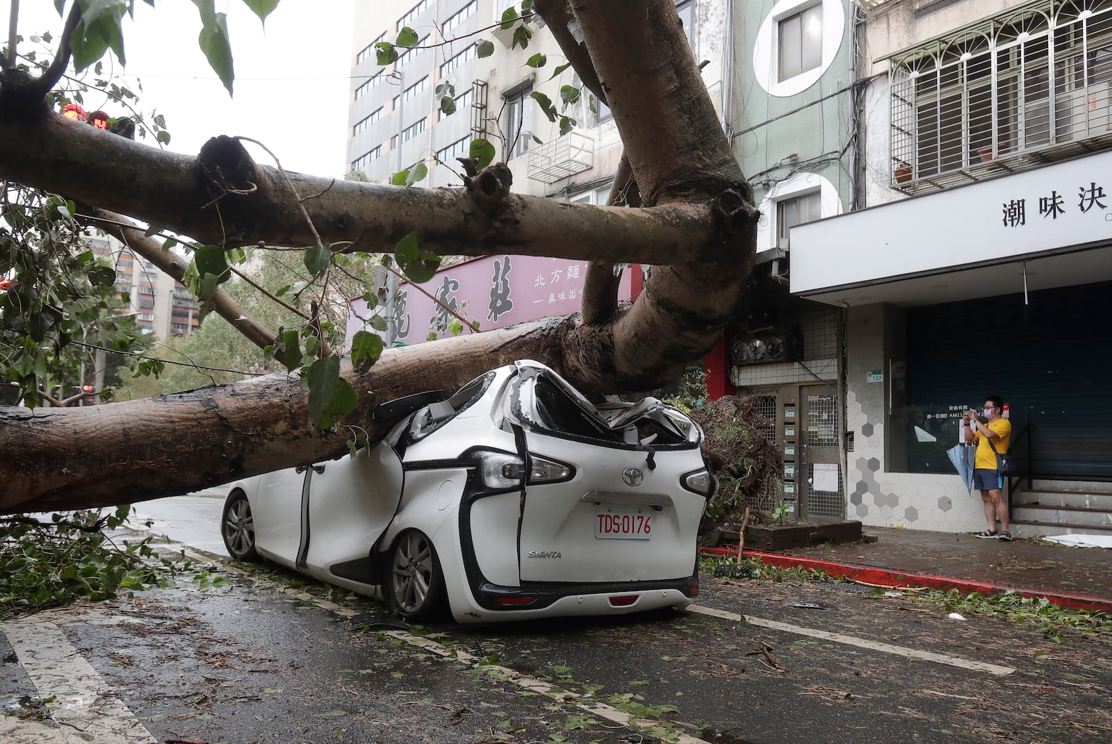 A man takes a photo of a car crushed by a fallen tree destroyed by the wind of Typhoon Kong-rey in Taipei, Taiwan, Friday, Nov. 1, 2024. (AP Photo/Chiang Ying-ying)