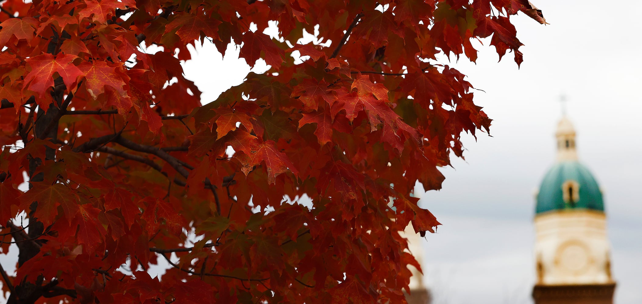 FALL COLORS