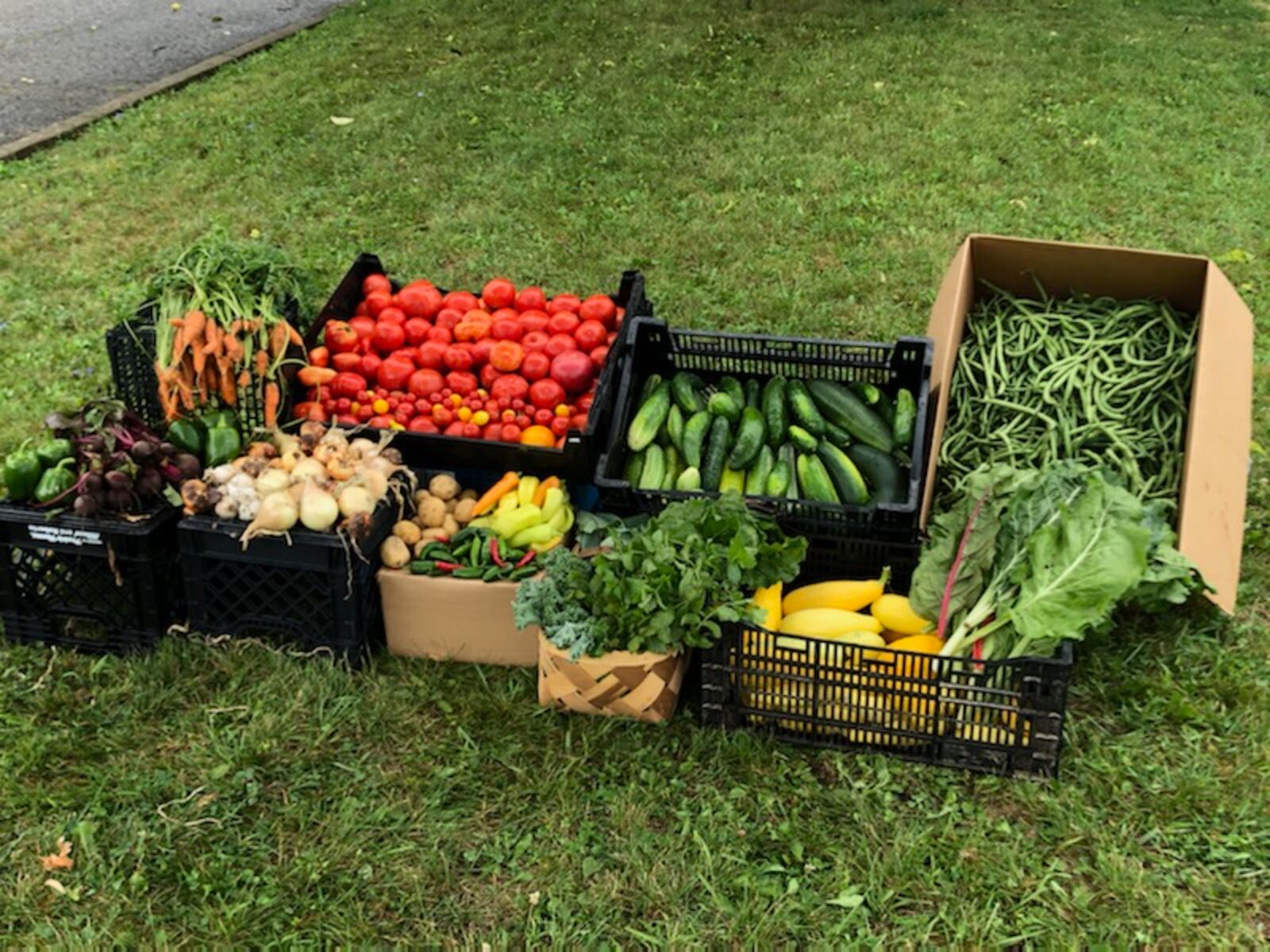 Gardeners can help MetroParks reach its goal of donating 2 tons of food by dropping off extra produce from their gardens at either Possum Creek or Wegerzyn MetroParks on select dates in September. CONTRIBUTED