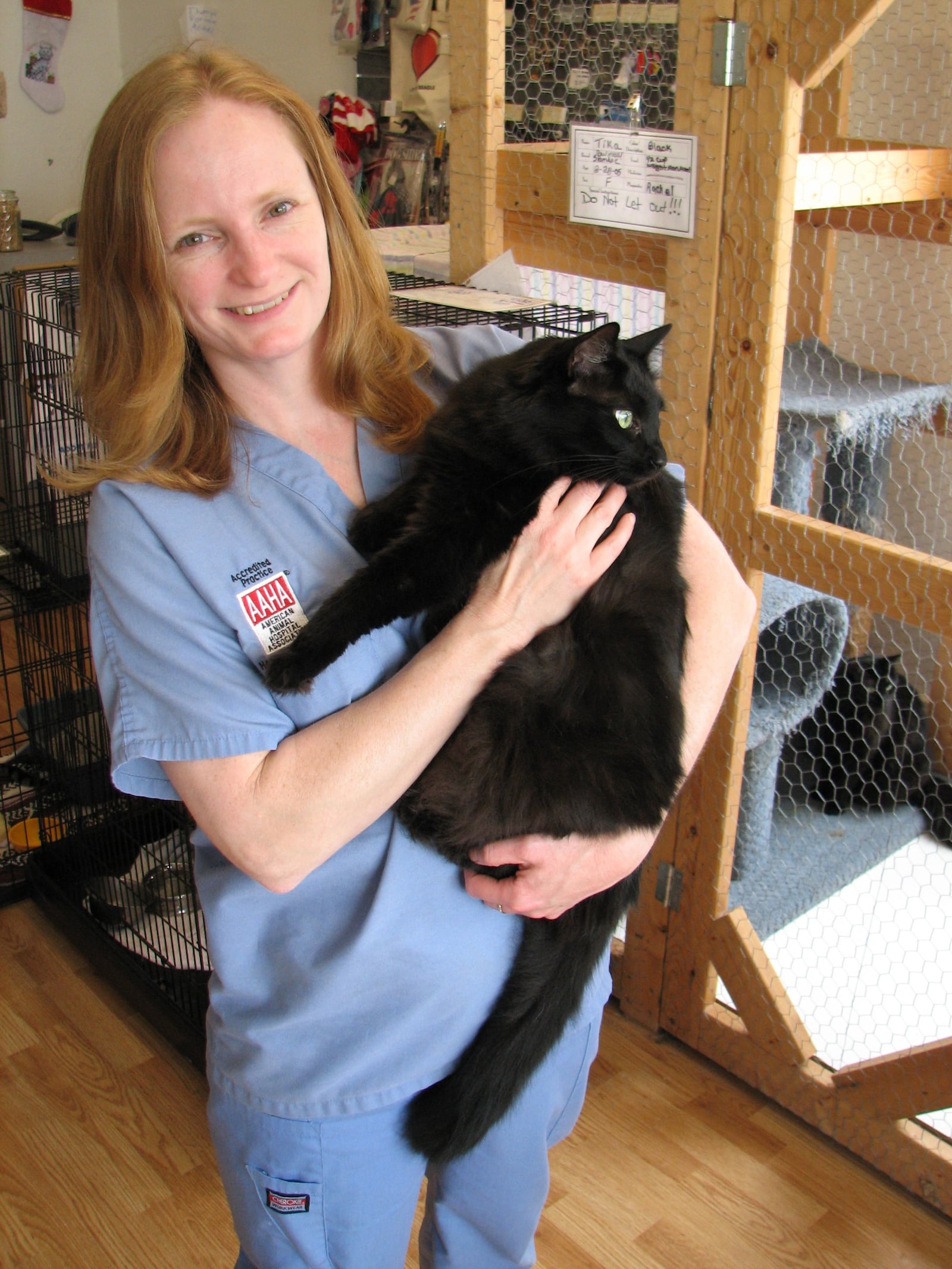 Robyn McGeorge operates Robyn's Nest, a non-profit animal rescue and adoption organization in Miamisburg. Contributed photo by William G. Schmidt