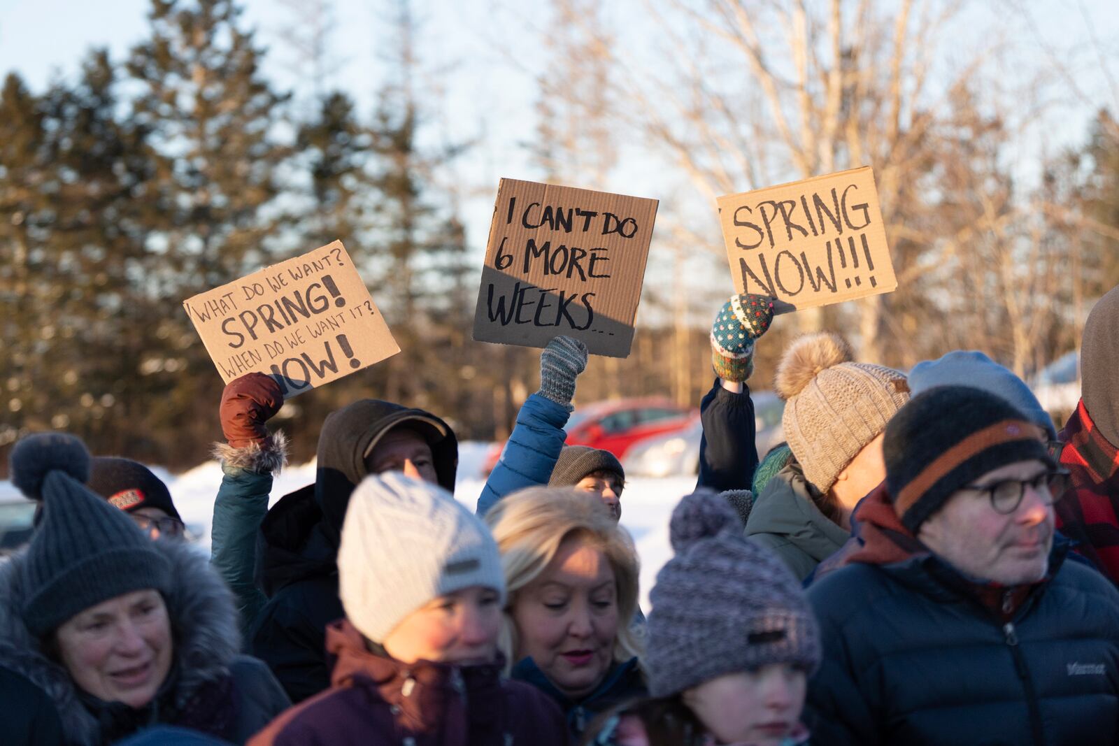 Revelers display signs while waiting for Shubenacadie Sam to emerge from her burrow at a Groundhog Day event at the Shubenacadie Wildlife Park in Nova Scotia on Sunday, Feb. 2, 2025. (Darren Calabrese/The Canadian Press via AP)