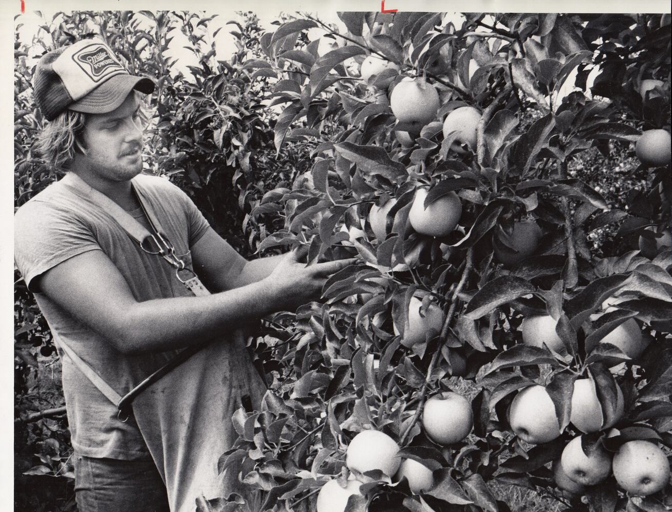 Photos: Monnin Fruit Farm through the years