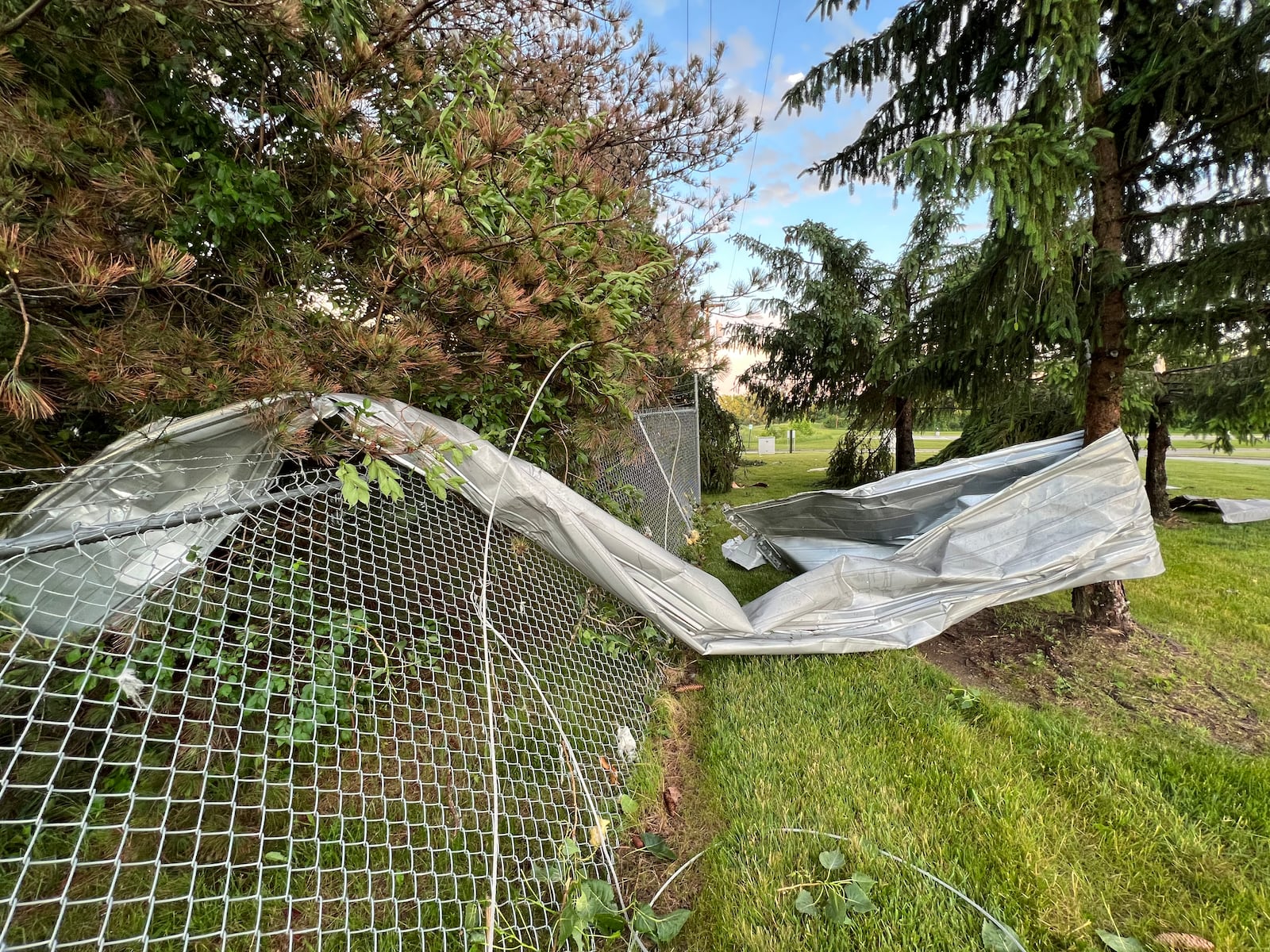 A large piece of steel was torn from a building and wrapped around a tree near Repacorp Inc. in Tipp City. AIMEE HANCOCK/STAFF