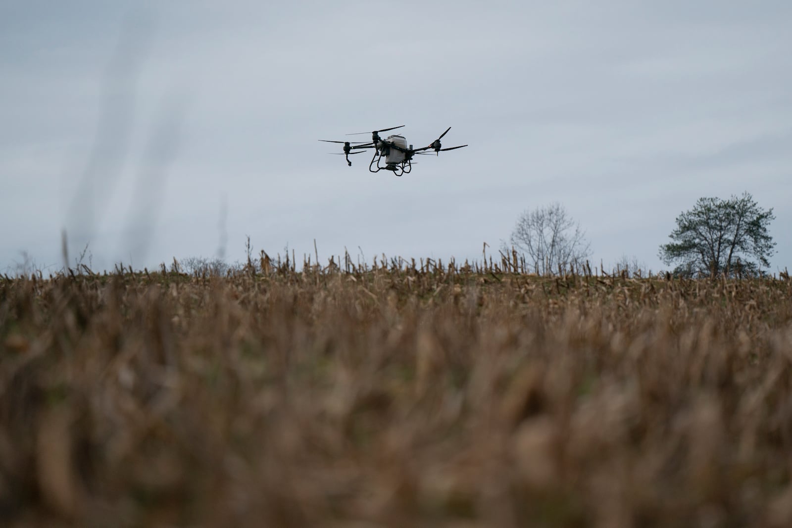 Russell Hedrick's DJI drone puts crop cover on his farm, Tuesday, Dec. 17, 2024, in Hickory, N.C. (AP Photo/Allison Joyce)