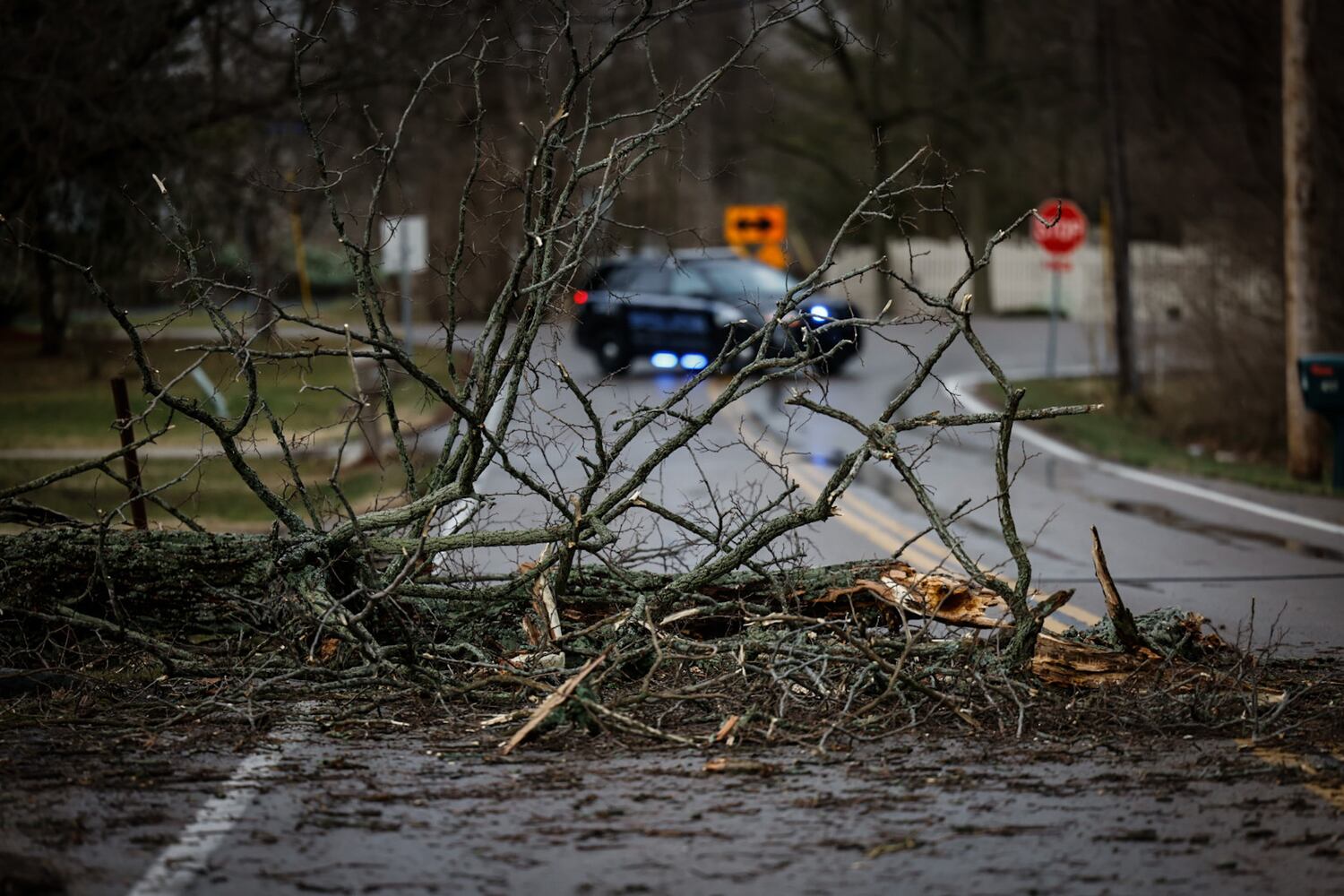 storm damage