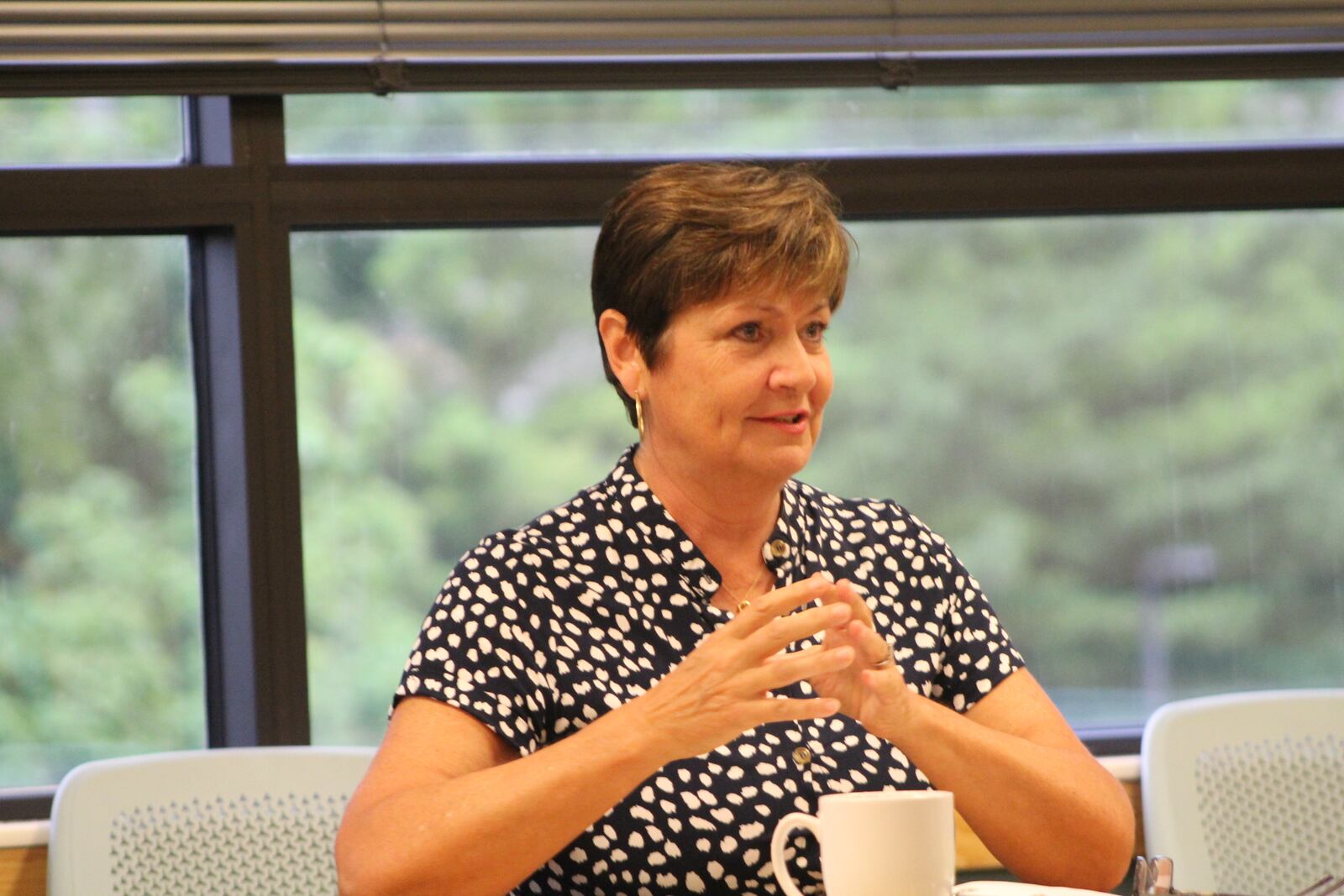 Rebecca Benná, CEO of Five Rivers MetroParks, at the most recent MetroParks board of park commissioners meeting. CORNELIUS FROLIK / STAFF