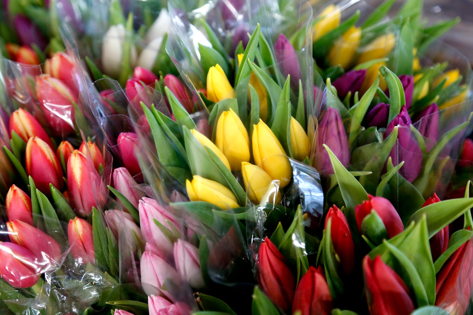 The Flower Man sells a variety of fresh flowers at the 2nd Street Market in downtown Dayton.  LISA POWELL / STAFF