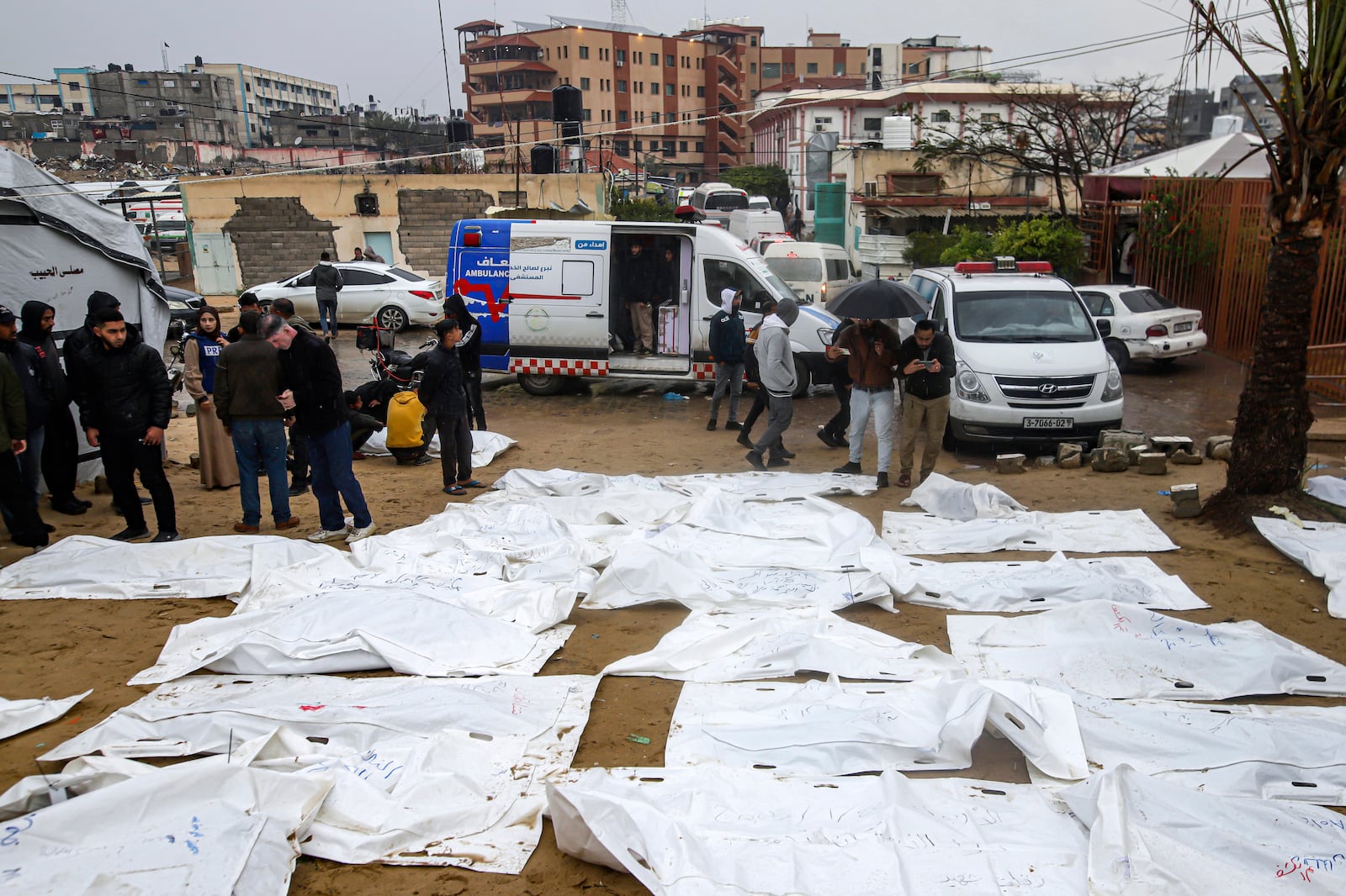 Palestinians look for the bodies of their relatives, who were killed in the Israeli bombardment of the Gaza Strip, at the Nasser hospital in Khan Younis, Southern Gaza Strip, Thursday, Jan. 23, 2025. (AP Photo/Jehad Alshrafi)