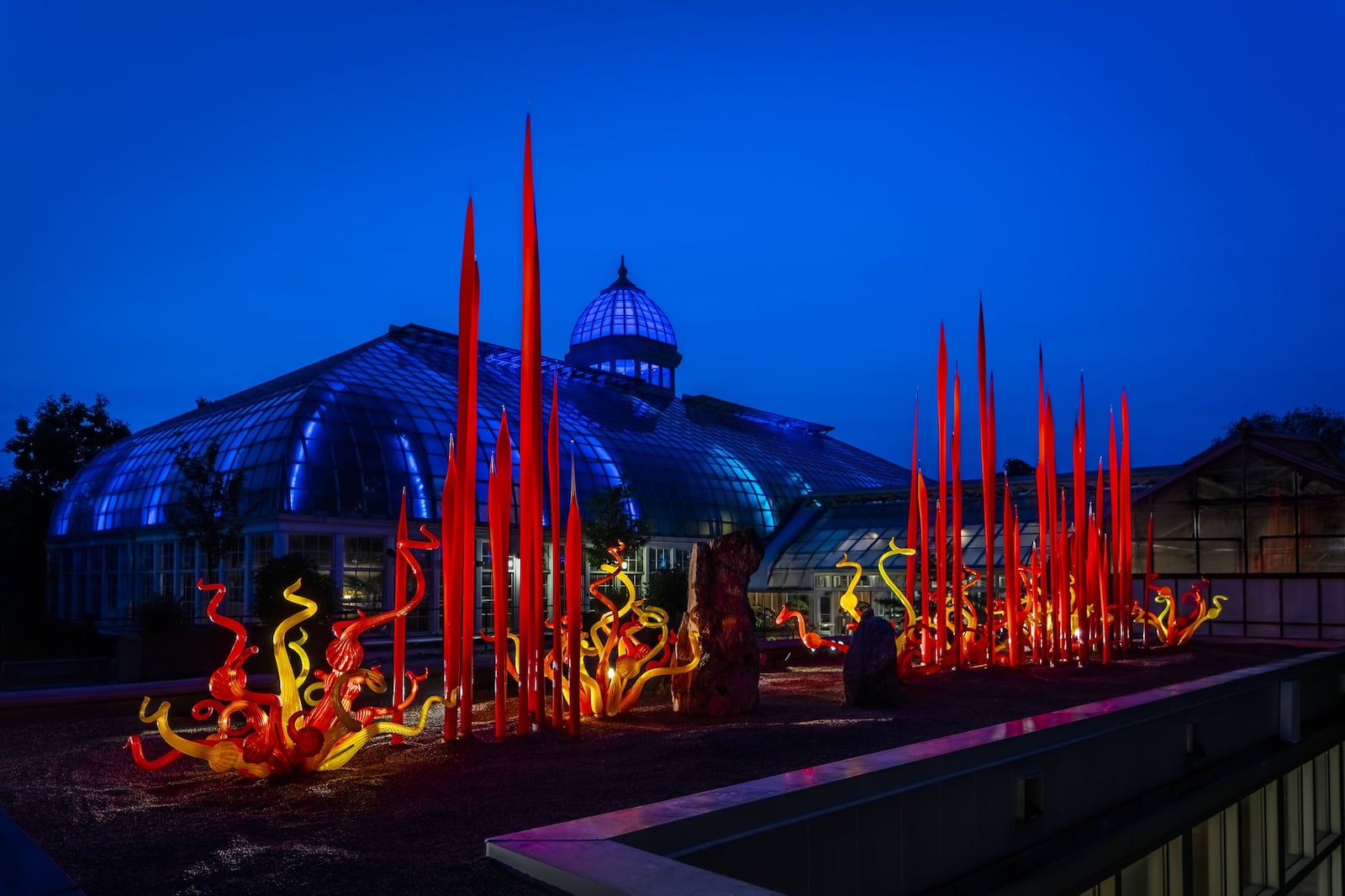 Chihuly’s “Red Reeds” on display at Franklin Park Conservatory in Columbus. CONTRIBUTED/CHIHULY STUDIO