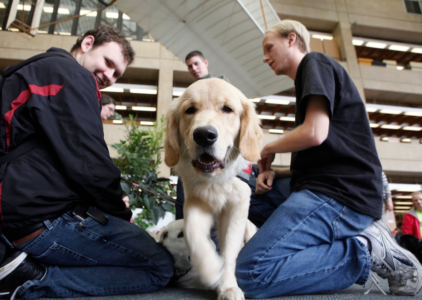 Finals Week Stress Relief Dogs