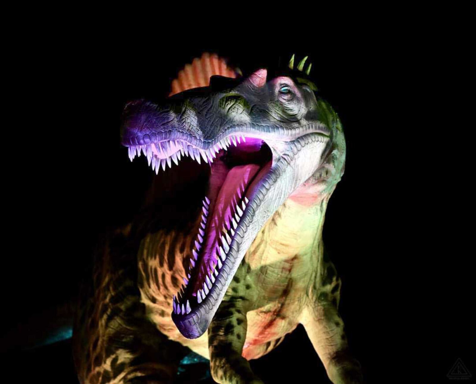 Dino Safari at the Louisville Mega Cavern kicks off Friday, April 9 and runs through Sunday, May 2. The underground drive-thru adventure will take visitors through underground caverns to experience close up encounters with animatronic dinosaurs. CONTRIBUTED PHOTO