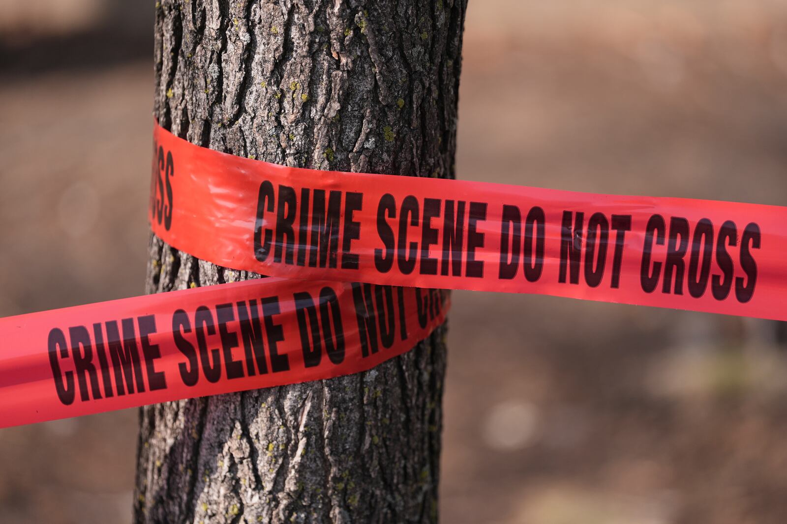 Crime scene tape is wrapped around a tree in the aftermath of a fatal small plane crashed in Philadelphia, Monday, Feb. 3, 2025. (AP Photo/Matt Rourke)