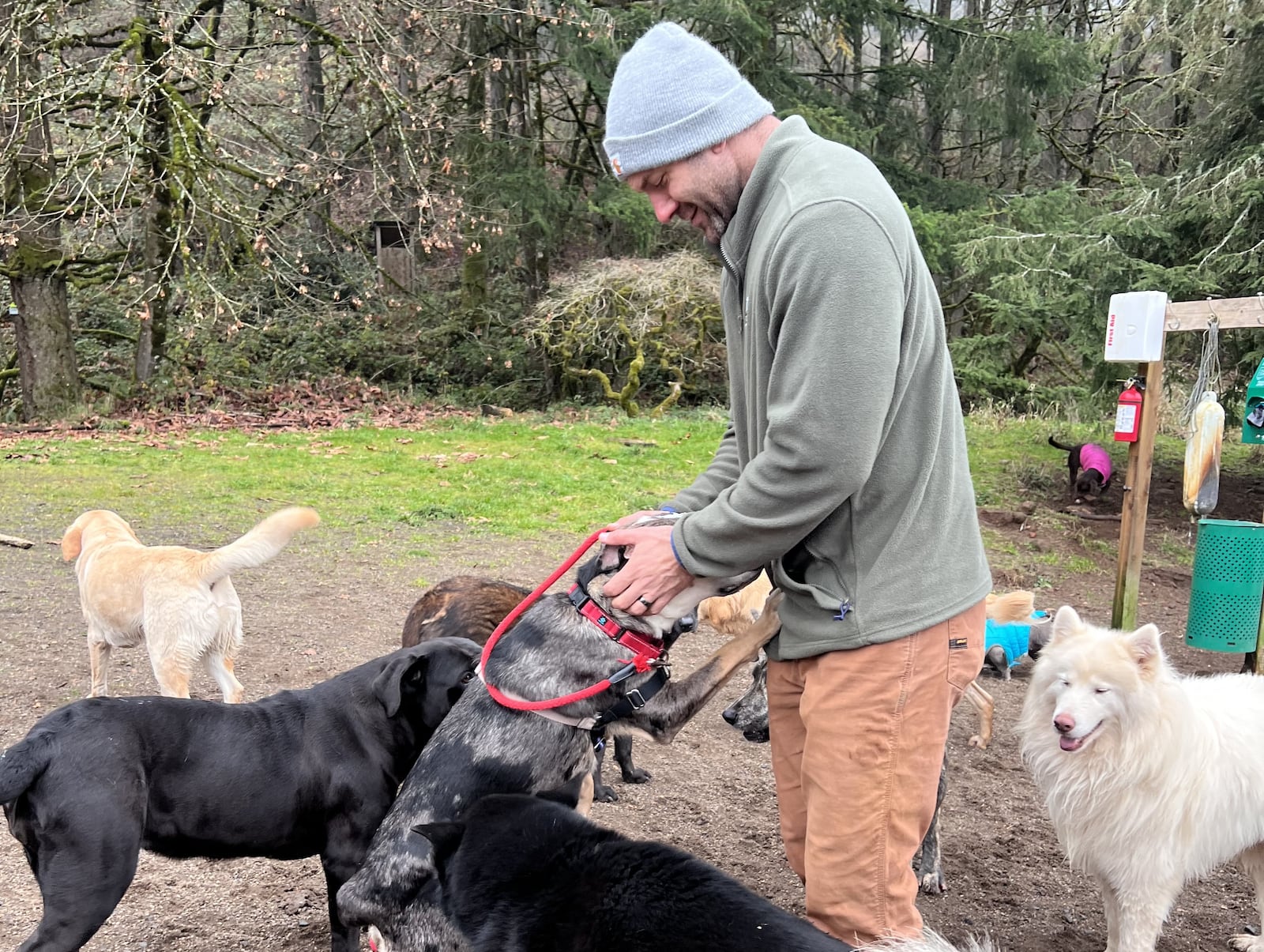 Lee Asher, founder of the Asher House, with "Hank" and other members of the dog pack at his animal sanctuary in Oregon. Asher adopted Hank from SICSA in Washington Twp. after he visited the Dayton region last year. CONTRIBUTED