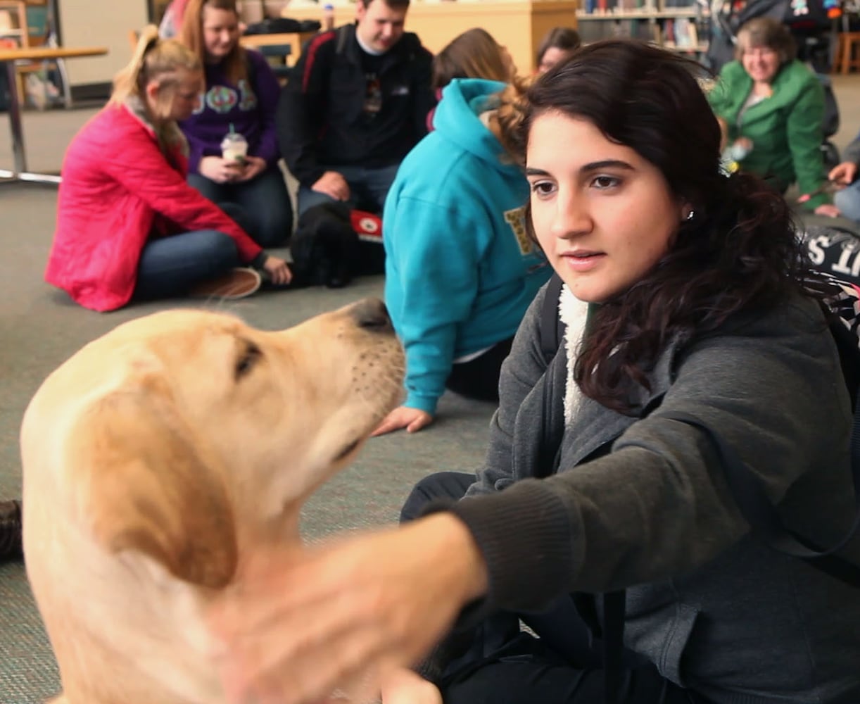 Finals Week Stress Relief Dogs