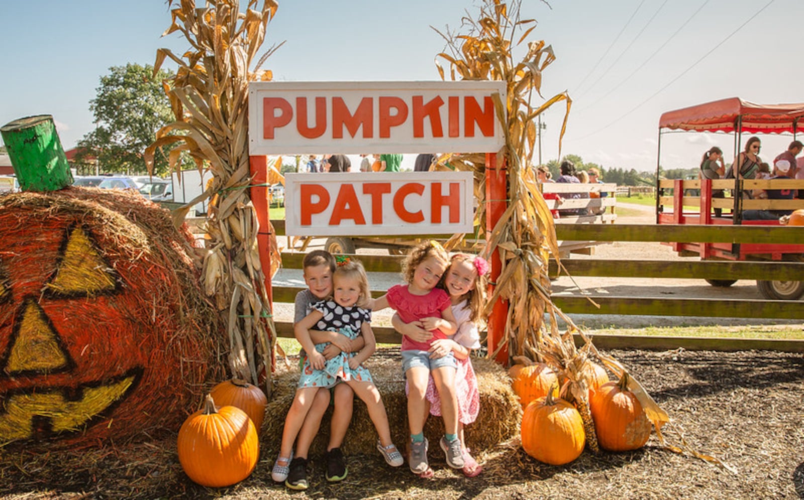 Fall fun at Young's Jersey Dairy includes a pick-your-own pumpkin patch - CONTRIBUTED