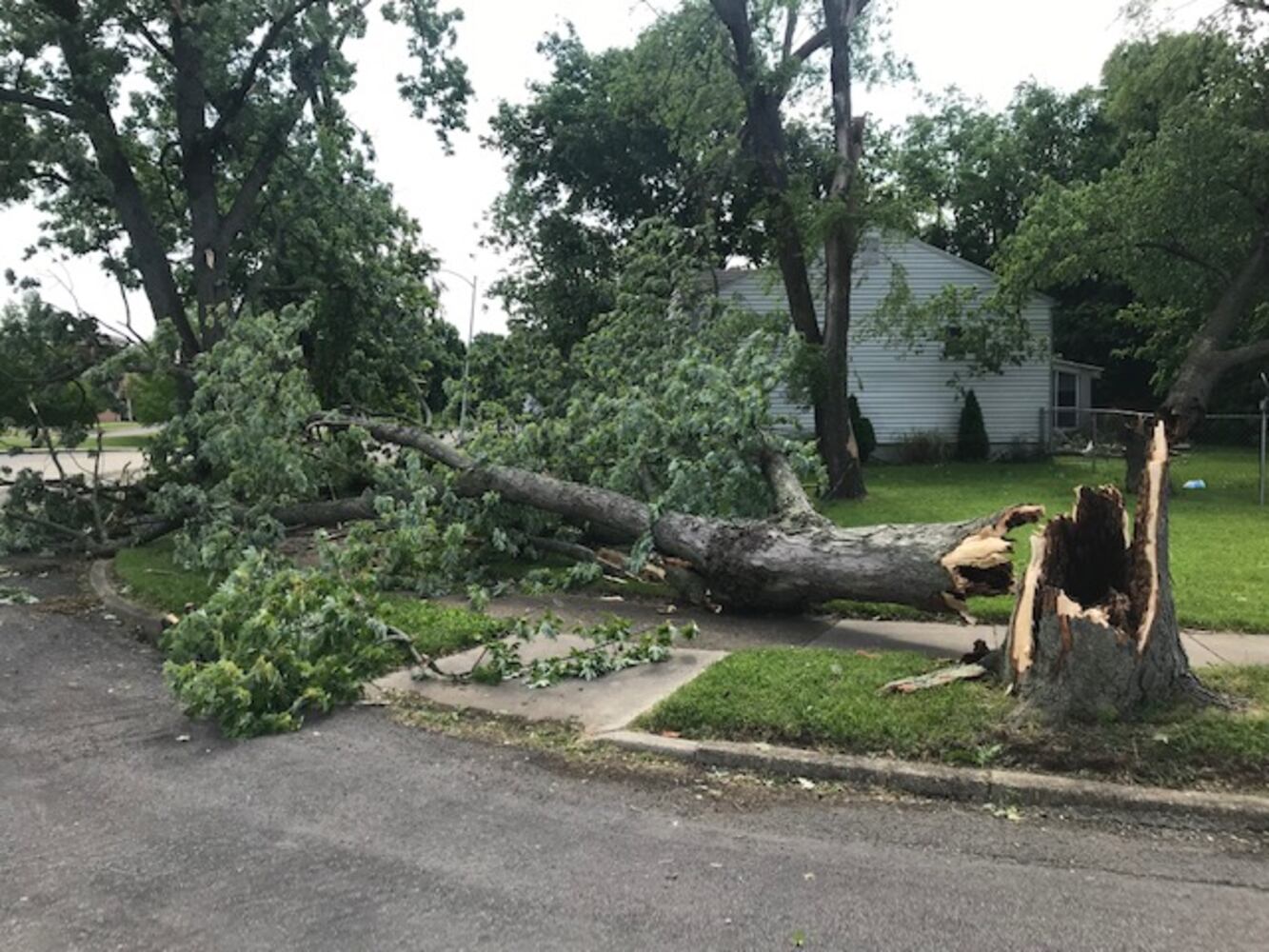 PHOTOS: Daylight reveals widespread damage from Monday storms