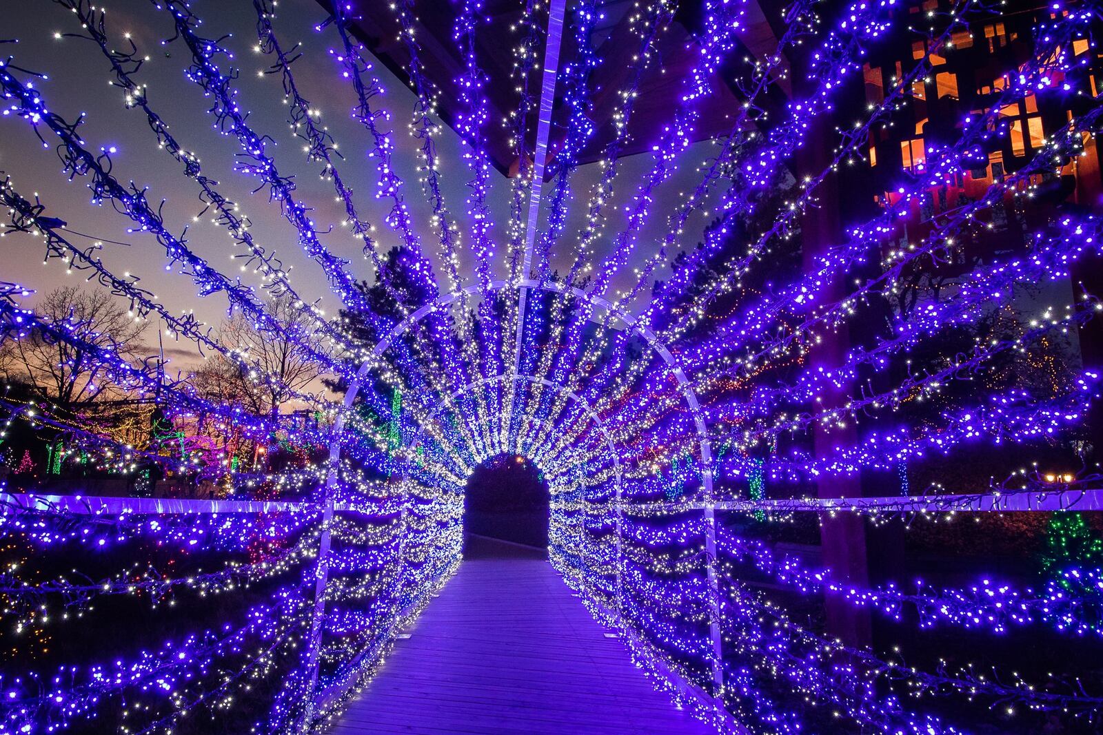 Holiday lights at the Indianapolis Zoo as a part of Christmas at the Zoo.