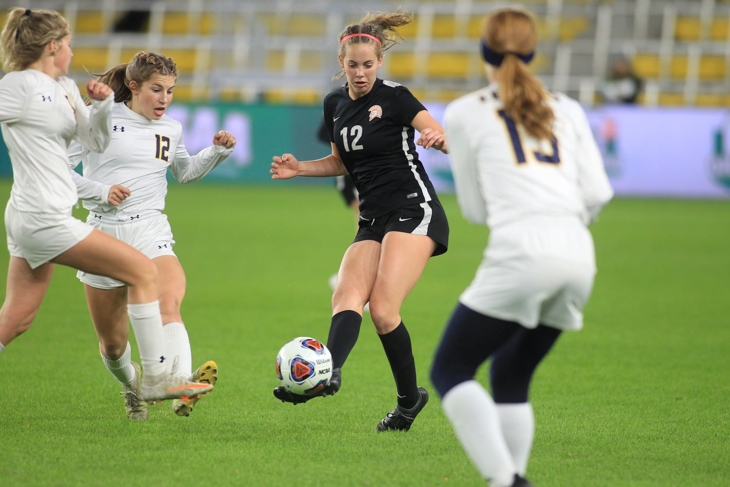 Waynesville wins state championship