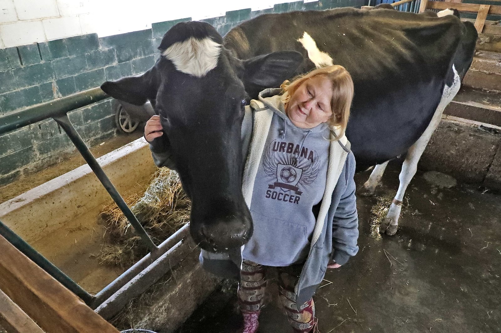 Joyce Nelson with one of her prized dairy cows at Dugan Road Creamery Friday. Bill Lackey/Staff