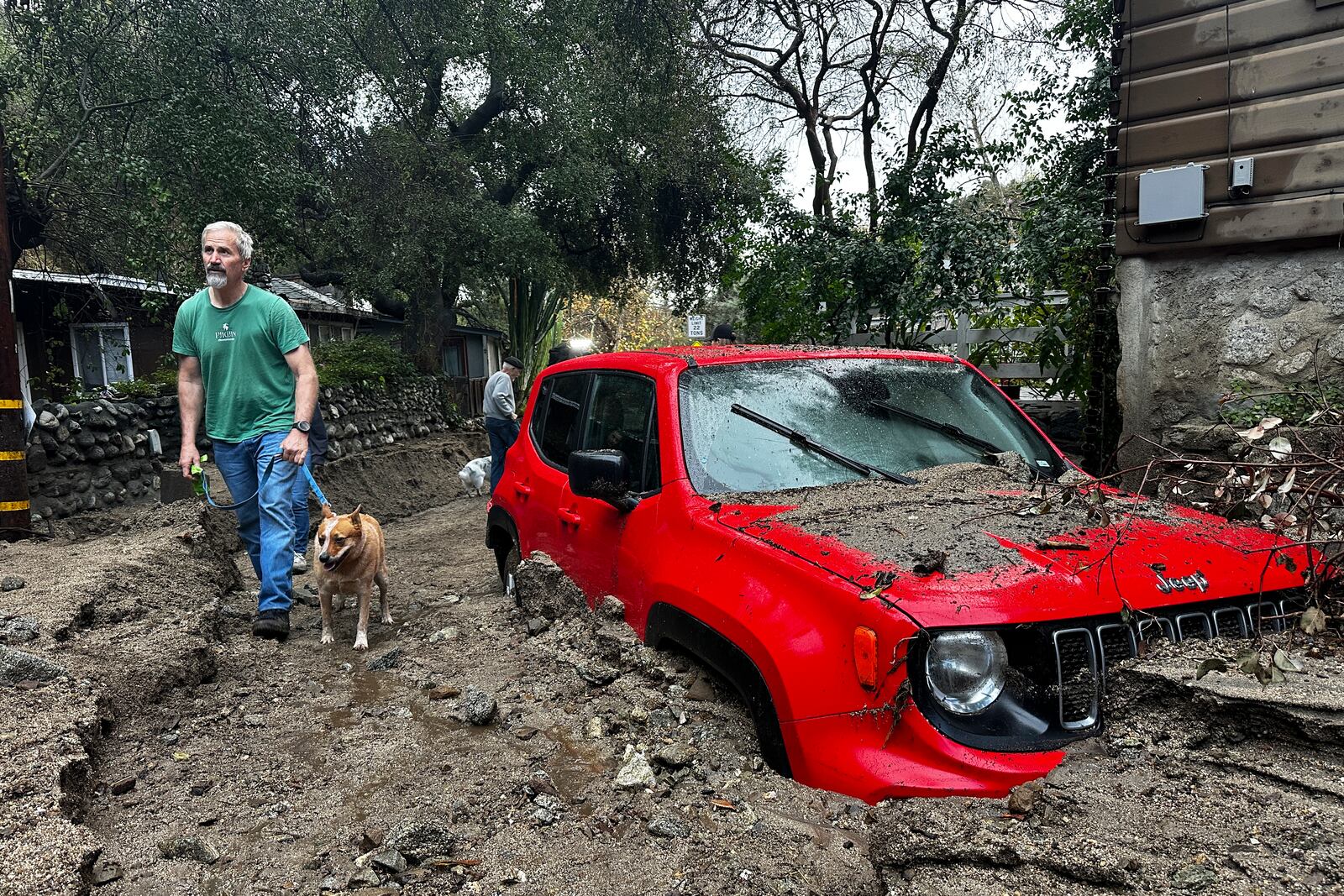 A resident and their dog walk past a vehicle partially submerged in mud after a storm Friday, Feb. 14, 2025, in Sierra Madre, Calif. (AP Photo/Eugene Garcia)