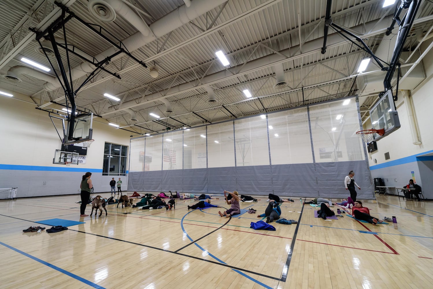 PHOTOS: Sweetheart Goat Yoga at Vandalia Recreation Center