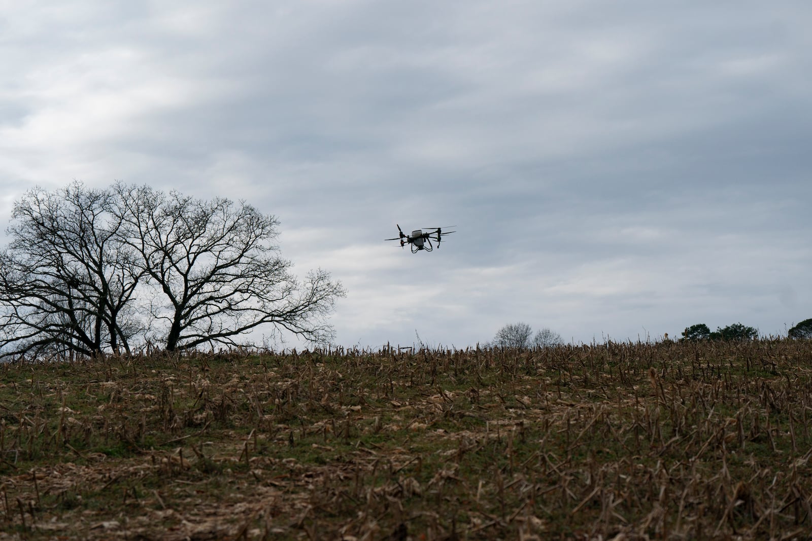 Russell Hedrick's DJI drone puts crop cover on his farm, Tuesday, Dec. 17, 2024, in Hickory, N.C. (AP Photo/Allison Joyce)