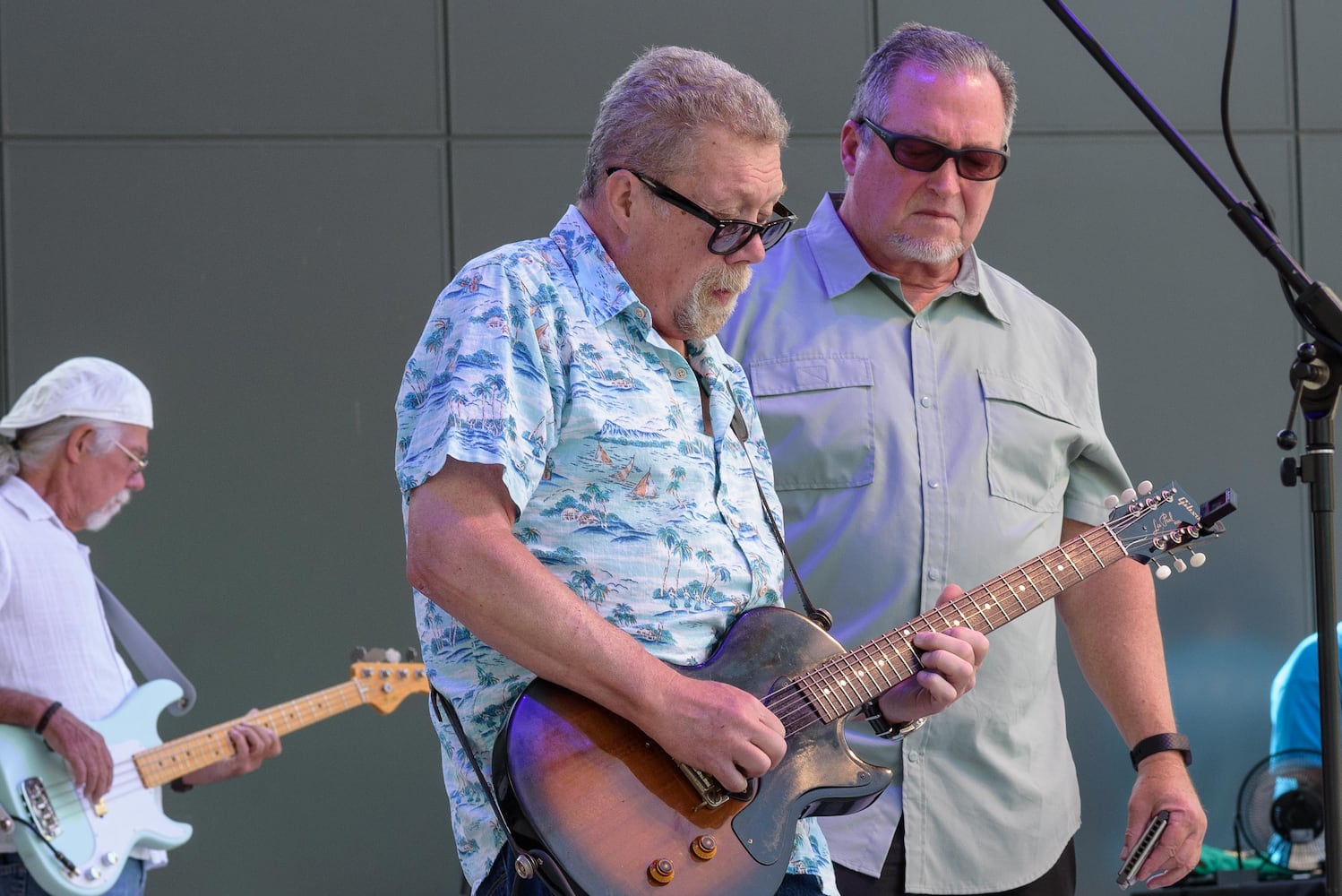 PHOTOS: The Dayton Blues Festival at Levitt Pavilion