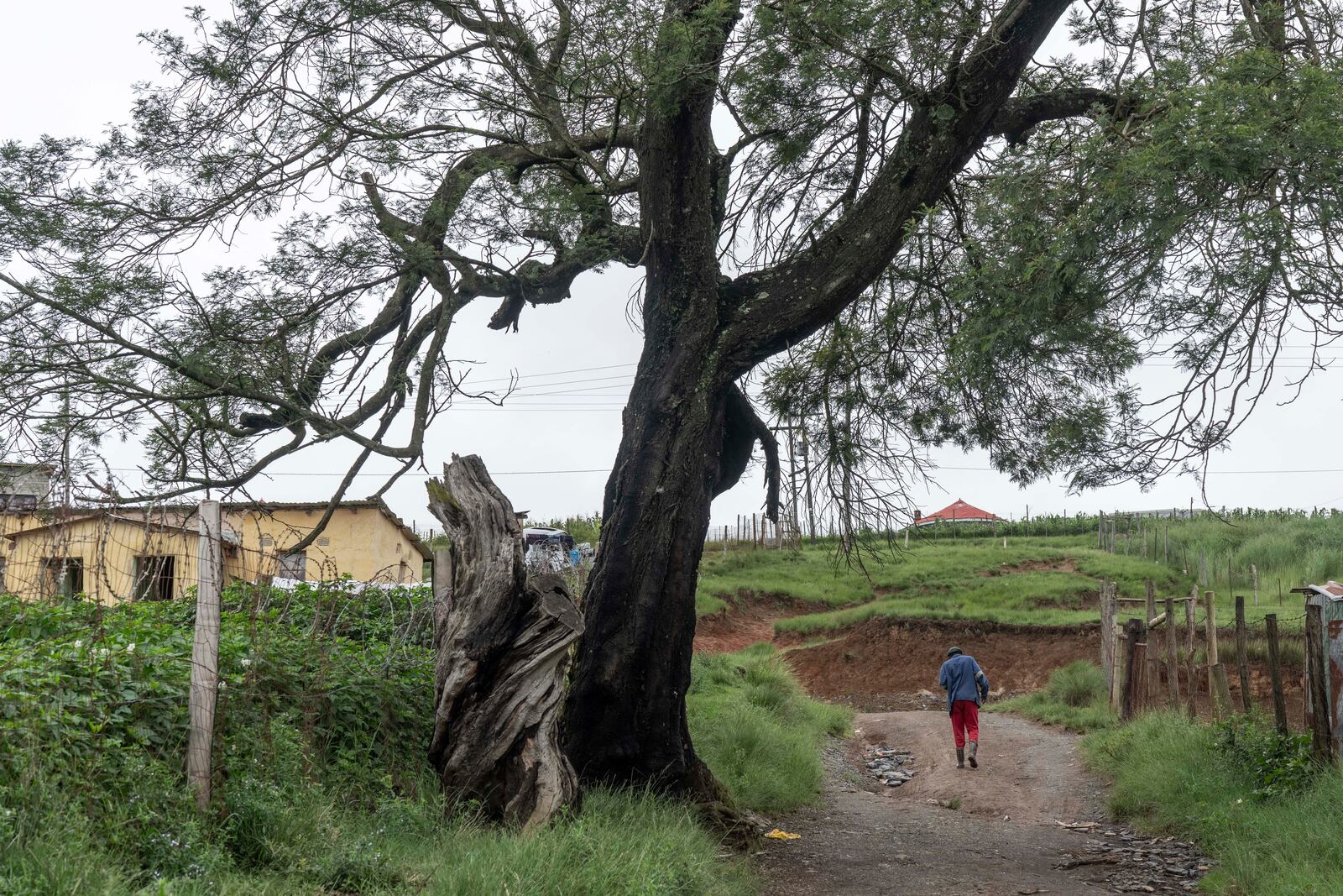 A Man walks in Umzimkhulu, KwaZulu Latal, Tuesday, Nov. 11, 2025, where millions of patients in South Africa could be affected by U.S. President Donald Trump's global foreign aid freeze, raising worries about HIV patients defaulting on treatment. (AP Photo/Jerome Delay}