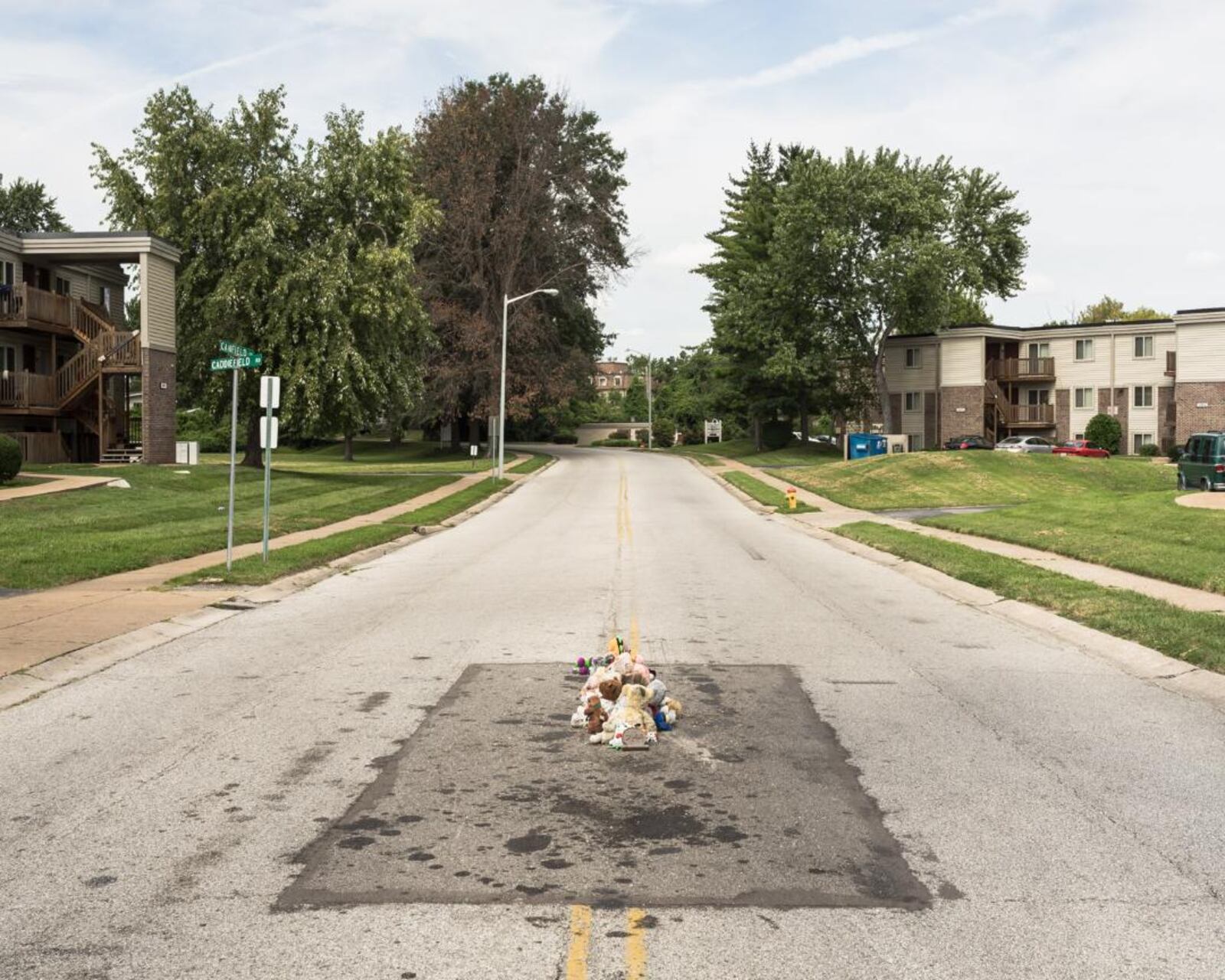 "The Murder of Michael Brown, Ferguson, Missouri, 2016" by photographer Kris Graves.