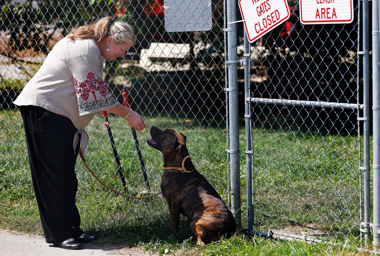 Julie Holmes-Taylor, Director of the Greene County Animal Control, spends time outside with Jager, Wednesday, Aug. 28, 2024. Jaeger is one of several dogs up for adoption at the shelter. MARSHALL GORBY\STAFF