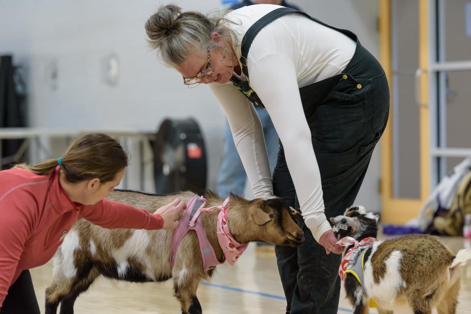 PHOTOS: Sweetheart Goat Yoga at Vandalia Recreation Center