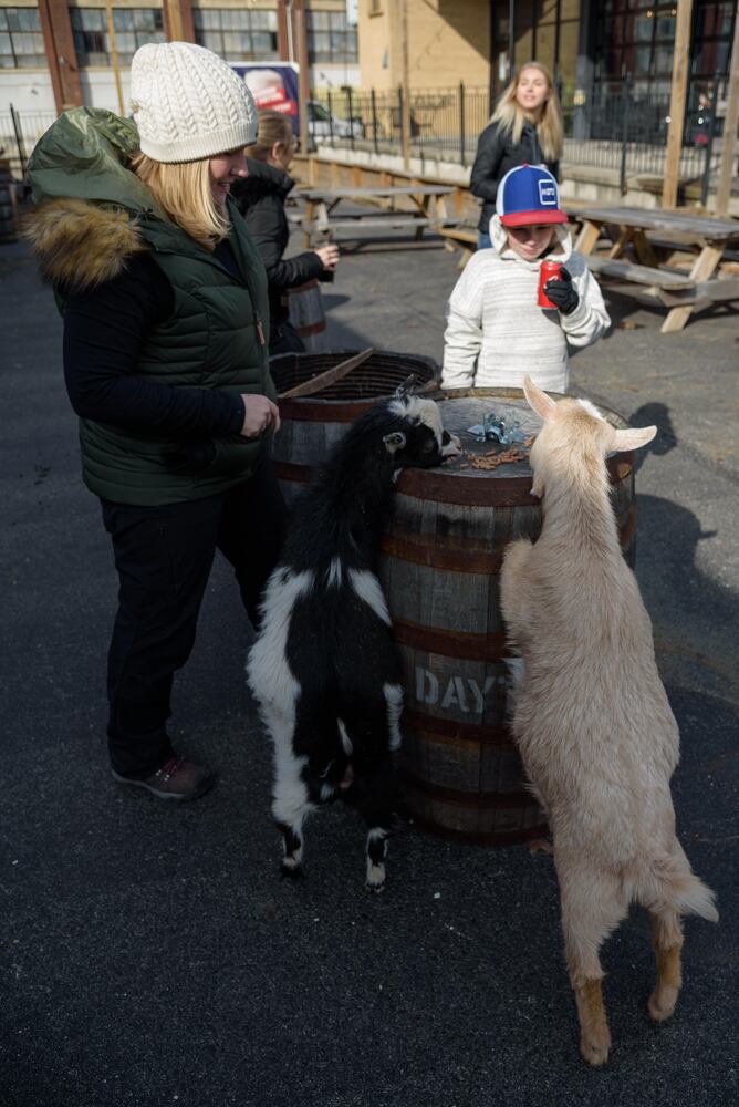 PHOTOS: Did we spot you frolicking with the cutest kids at Dayton Beer Company’s GoatFest?