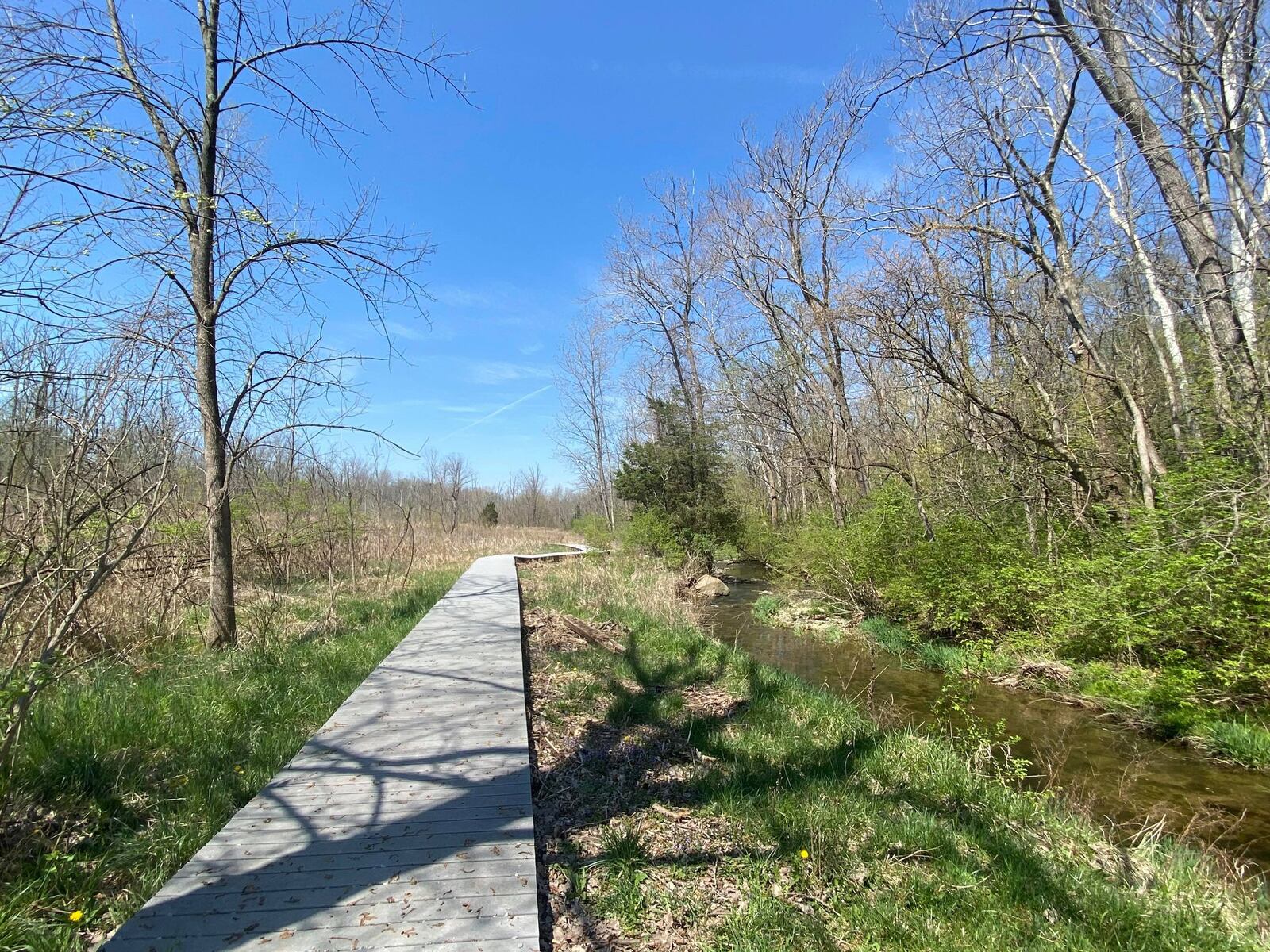 Sara Lee Arnovitz Nature Preserve will be the site of the first Howl at the Moon Hike. CONTRIBUTED