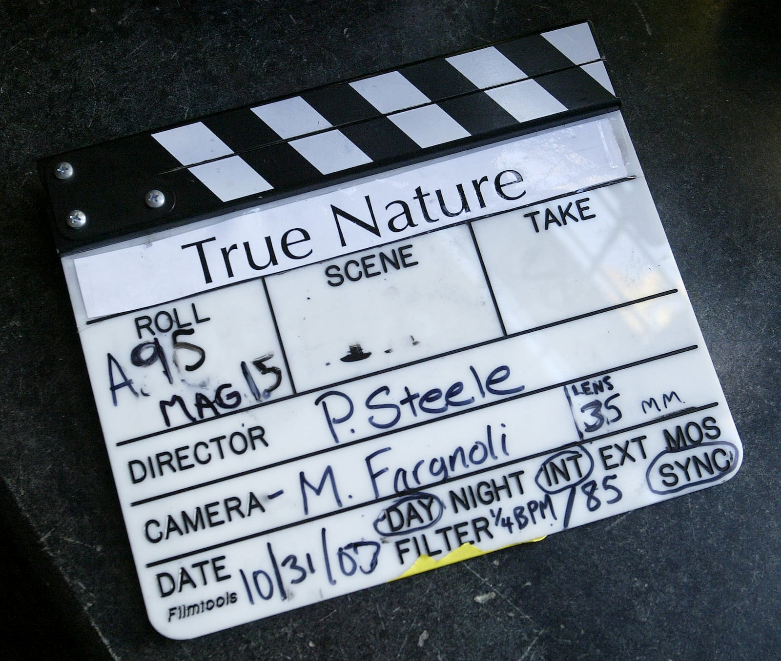 "True Nature," an independent film, is being shot in Dayton at the Hook Estate, the home of film producer Beth Duke. The film, which is part drama and part supernatural thriller, features "Law and Order" actress Carolyn McCormick. It is being directed by Patrick Steele.  Staff photo by Lisa Powell